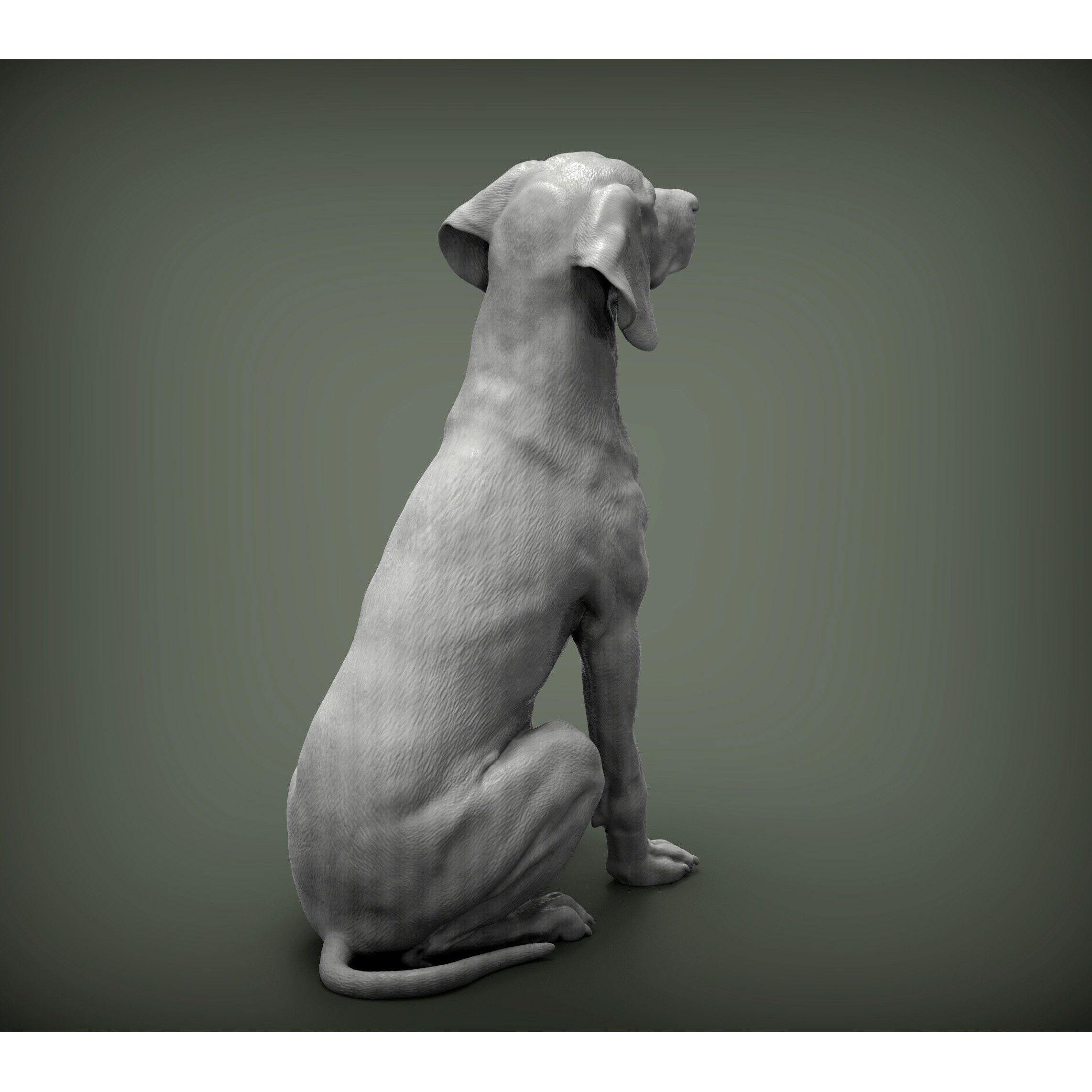 Hungarian vizsla Hungarian Pointing Dog 3D print model 6