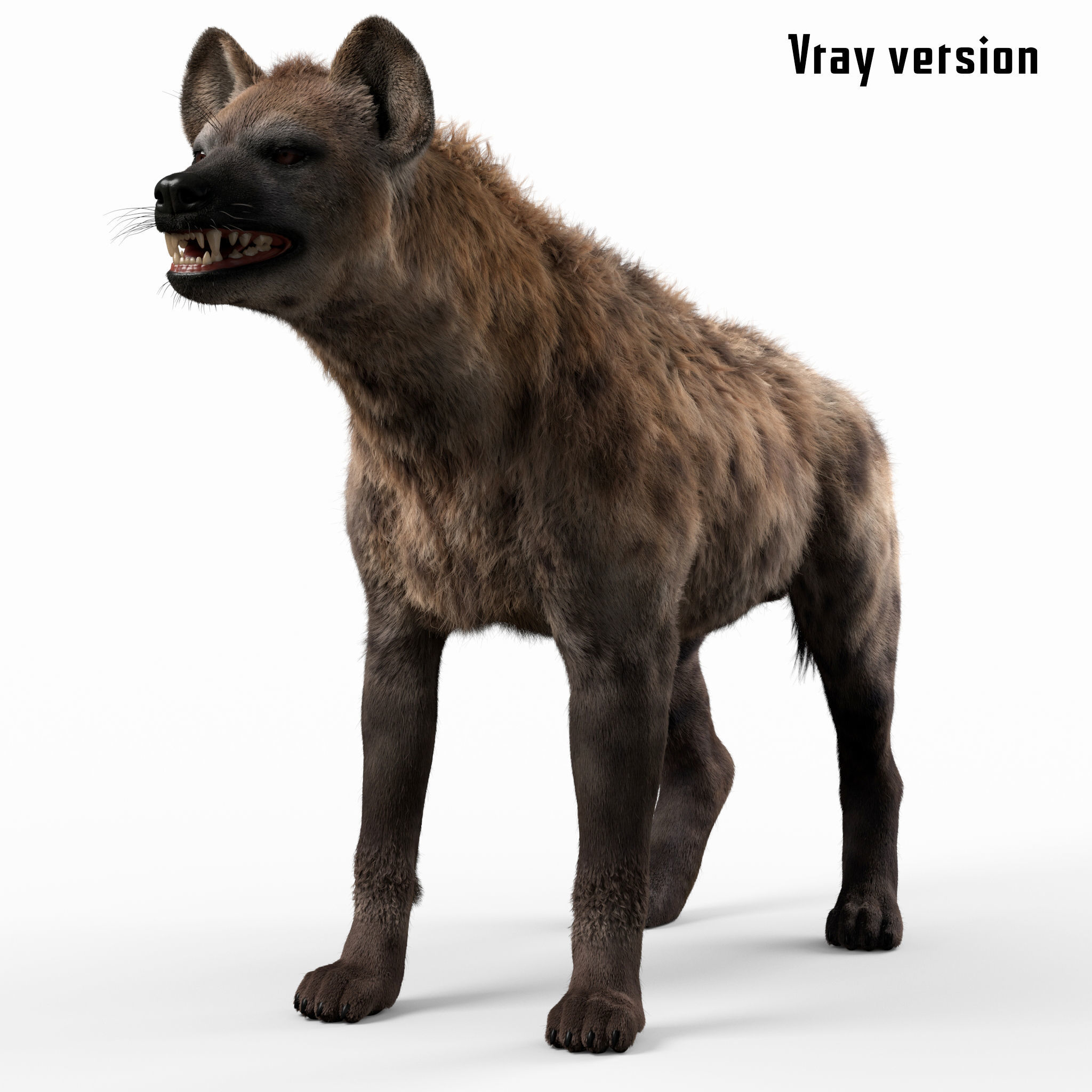 Hyena For Production 3D model 5