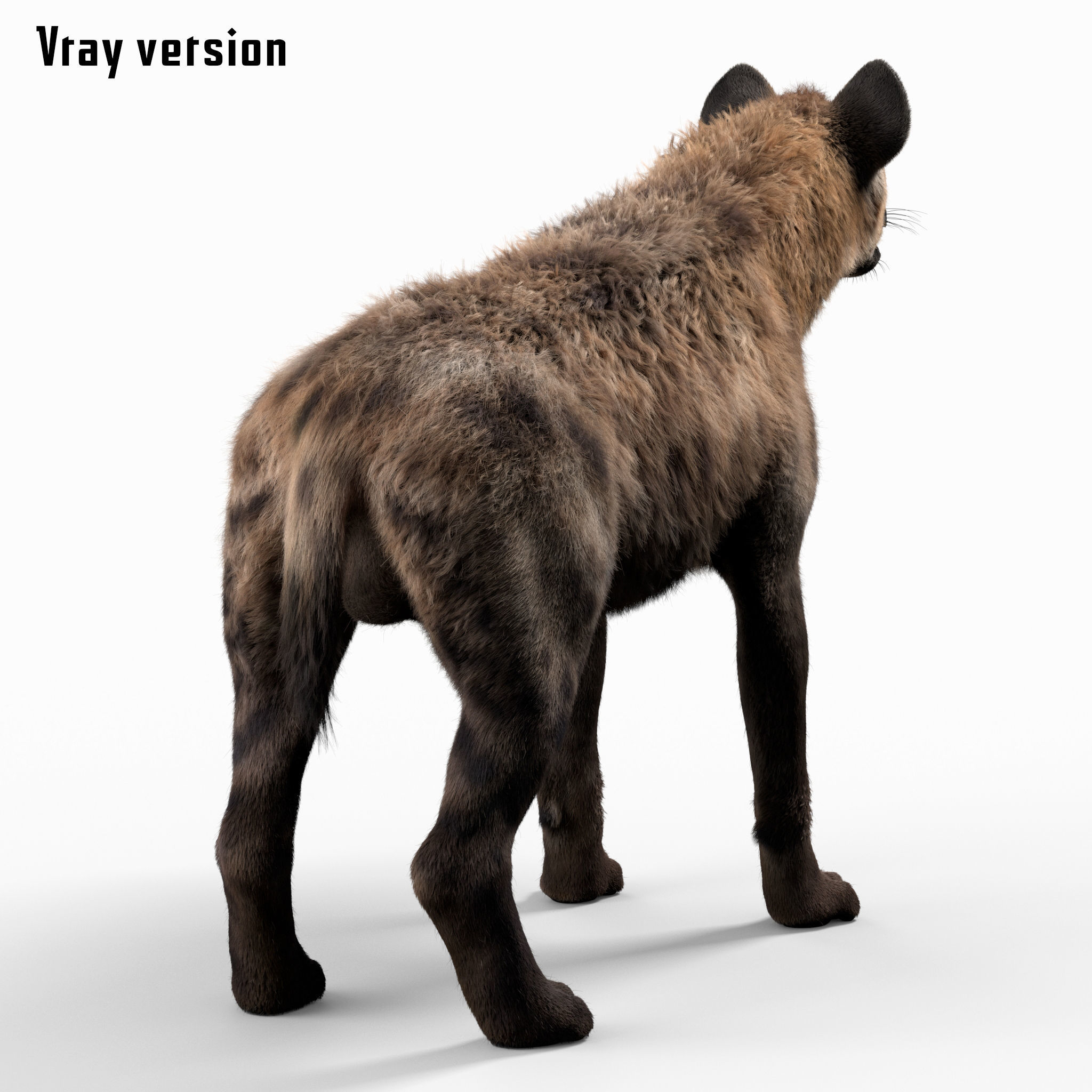 Hyena For Production 3D model 7
