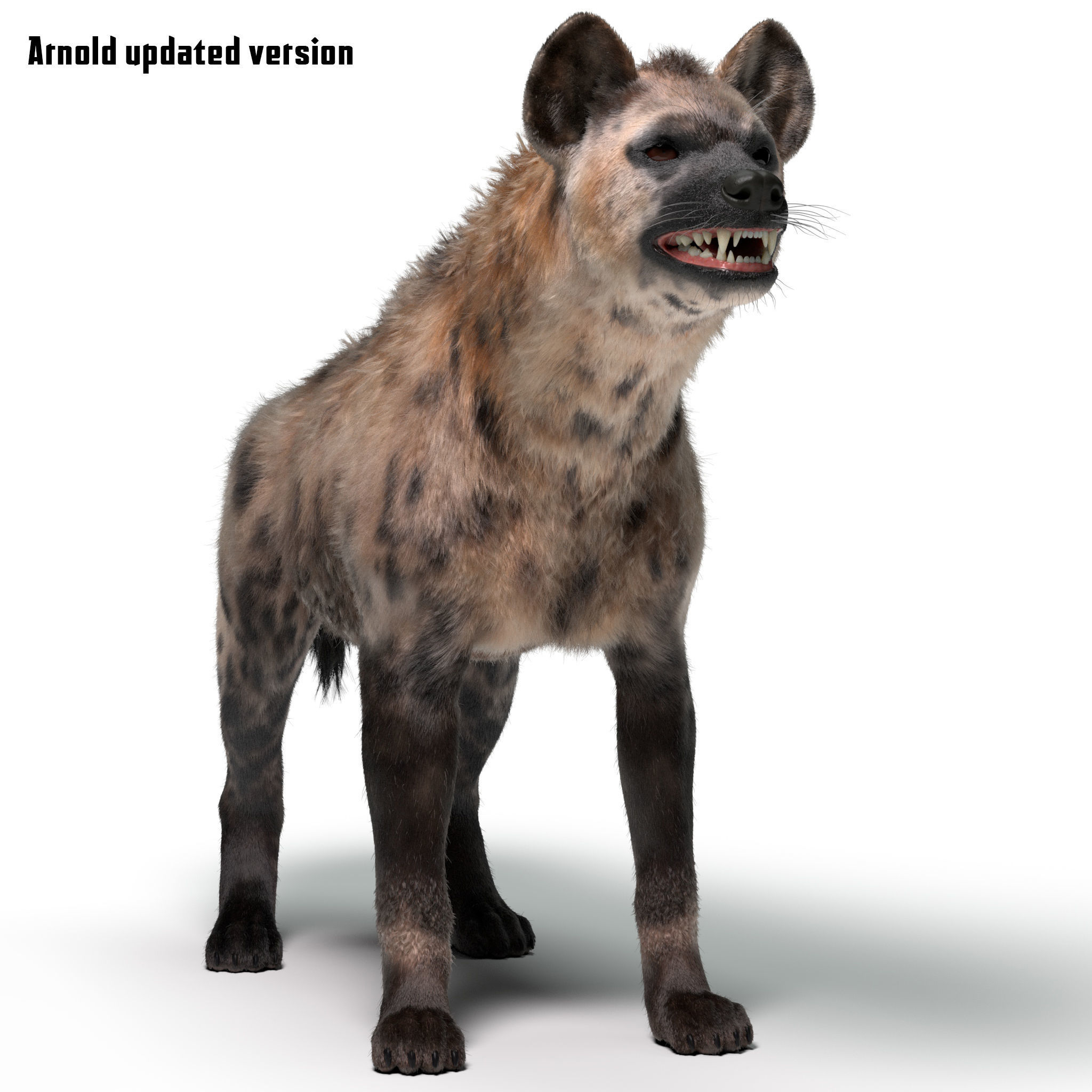 Hyena For Production 3D model 9