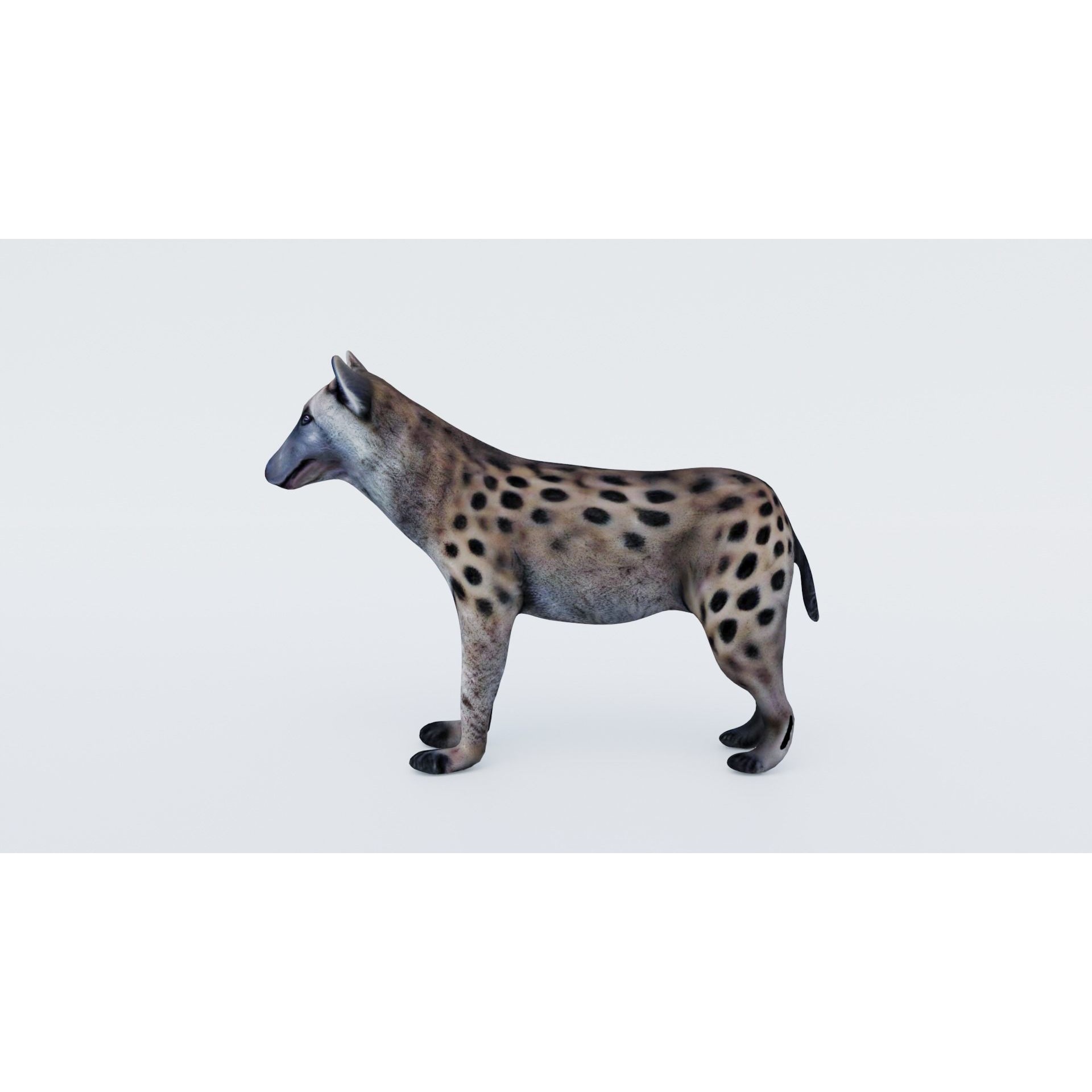 Hyena Free 3D model 2