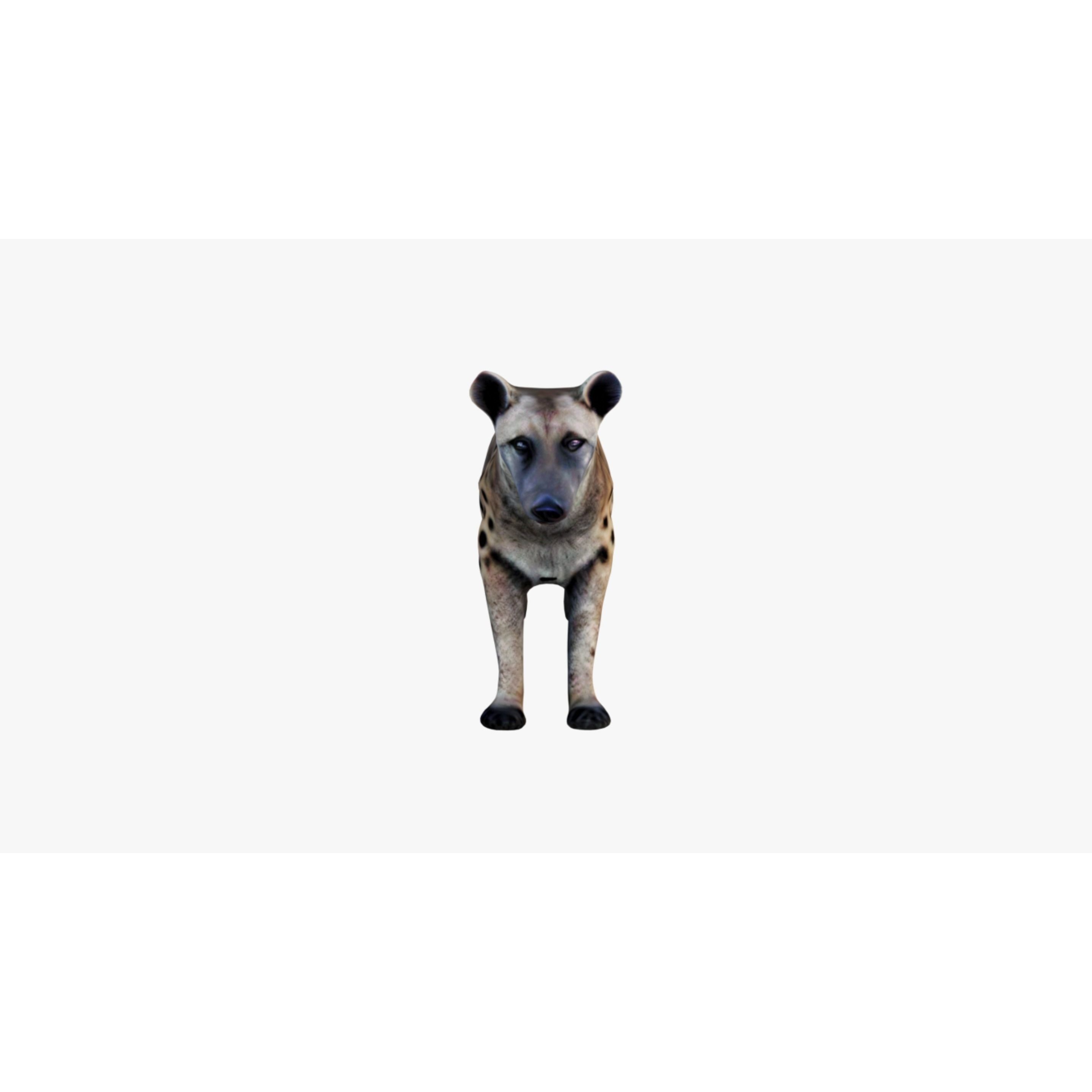 Hyena Free 3D model 3