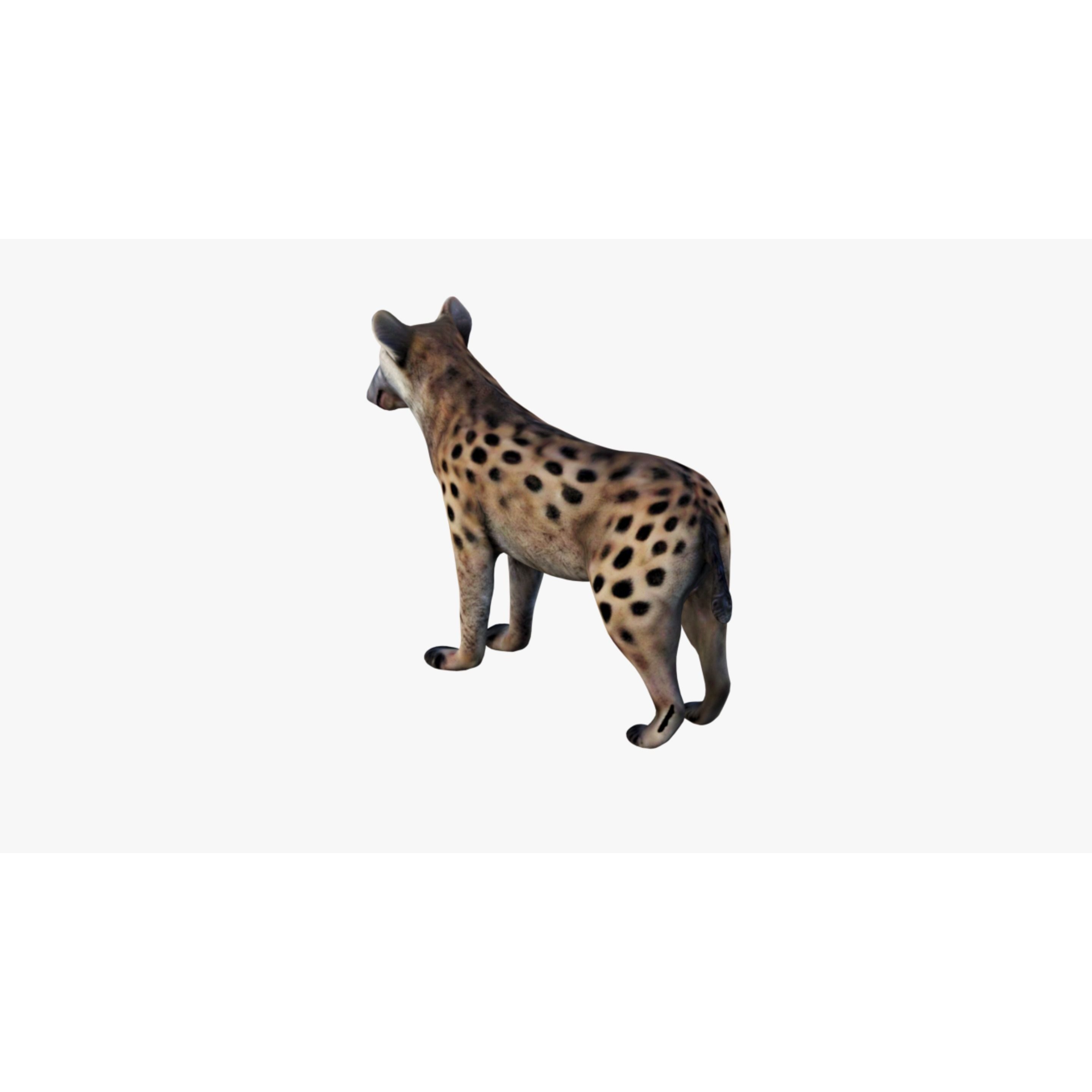 Hyena Free 3D model 4
