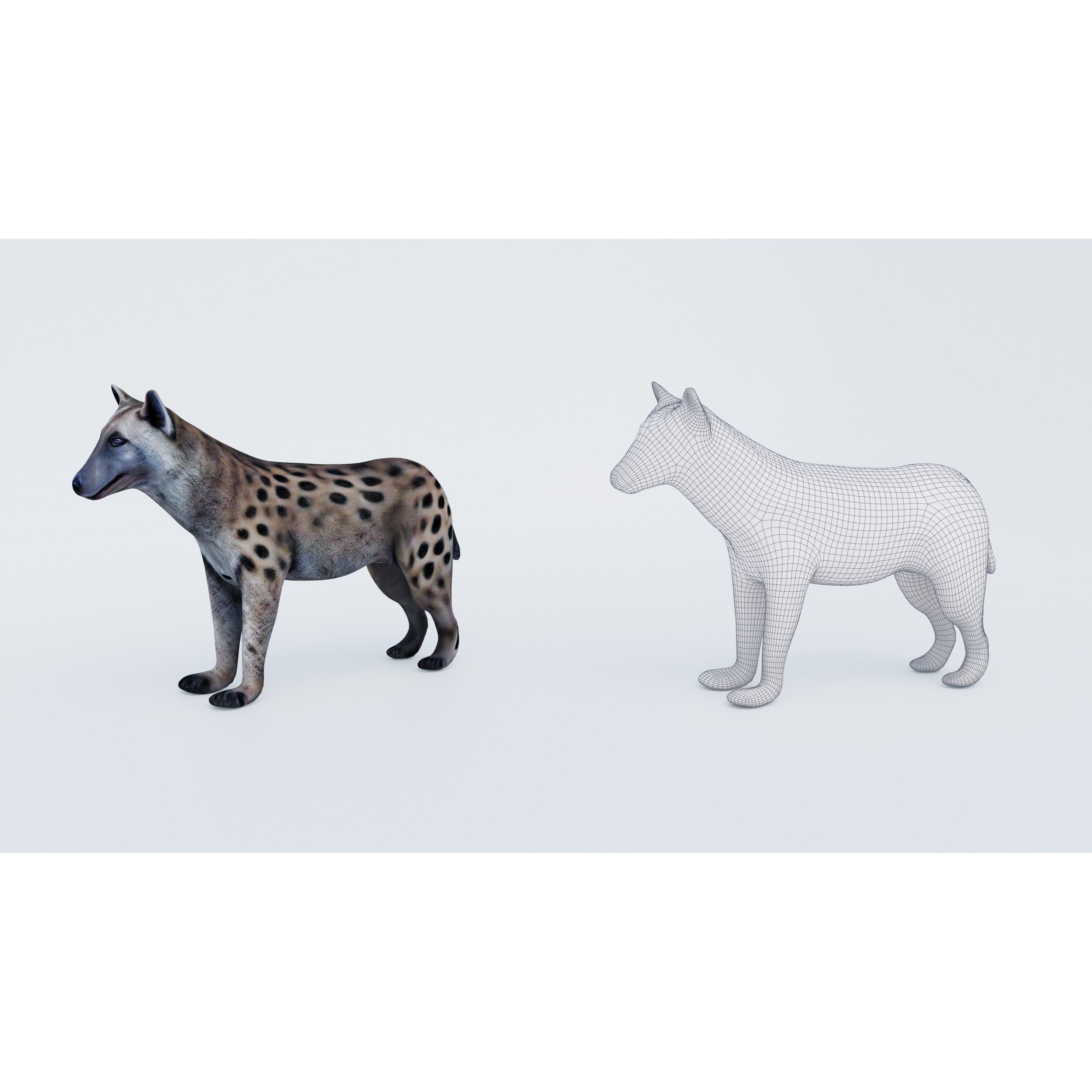 Hyena Free 3D model 6