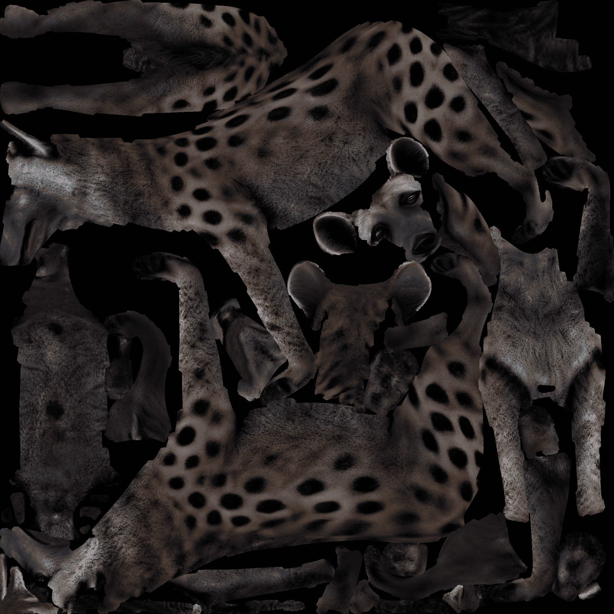 Hyena Free 3D model 8