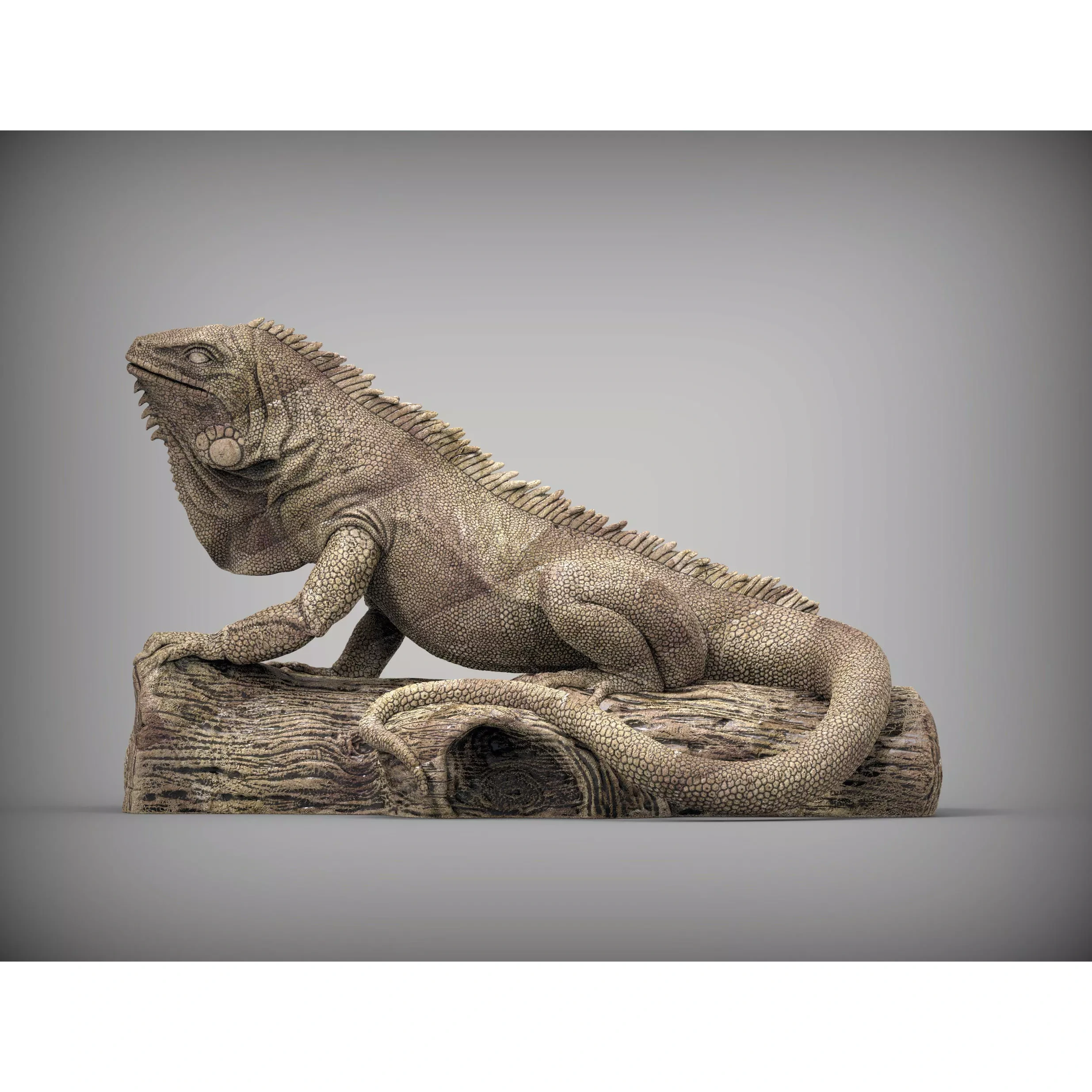 Iguana on log 3D print model