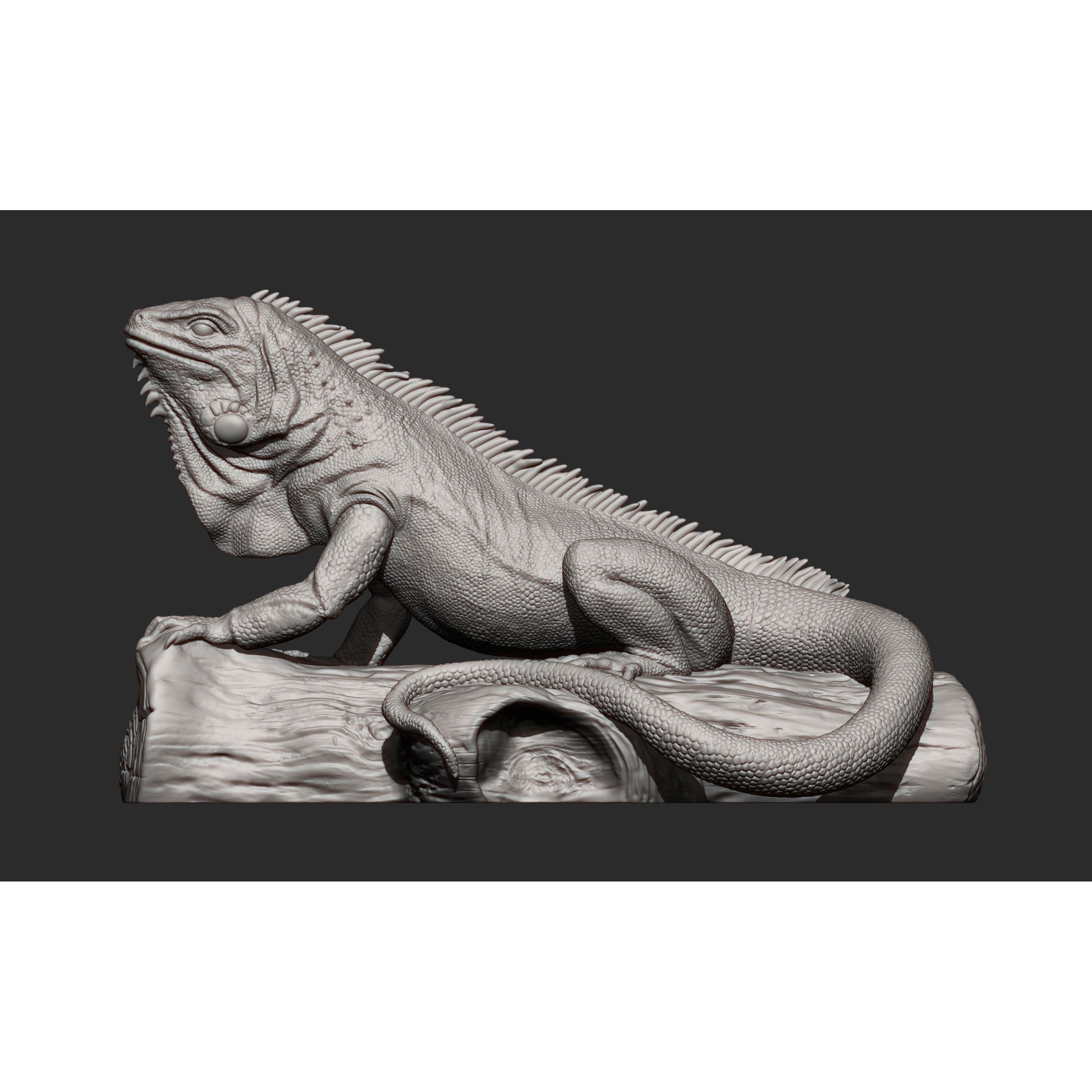 Iguana on log 3D print model 2