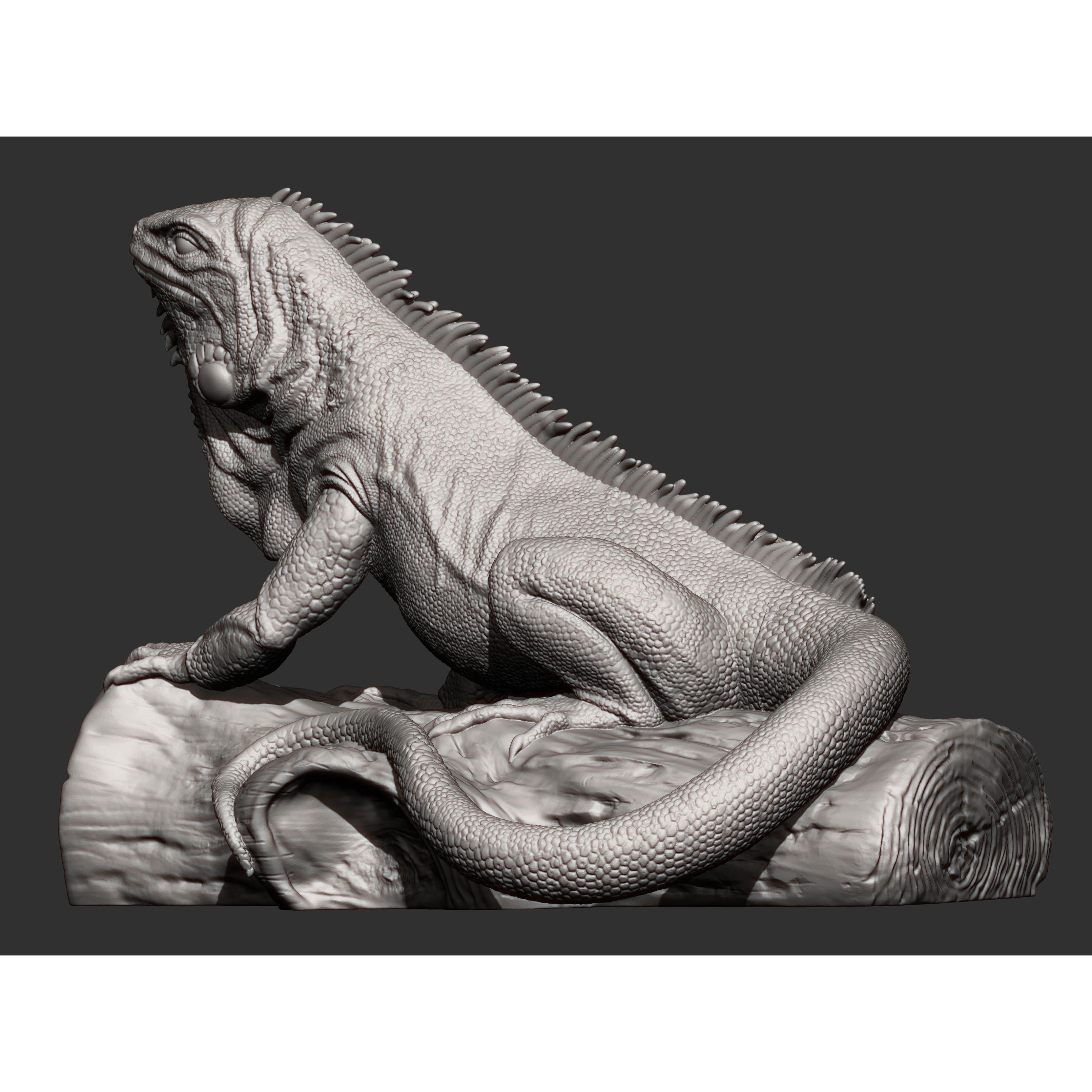 Iguana on log 3D print model 3