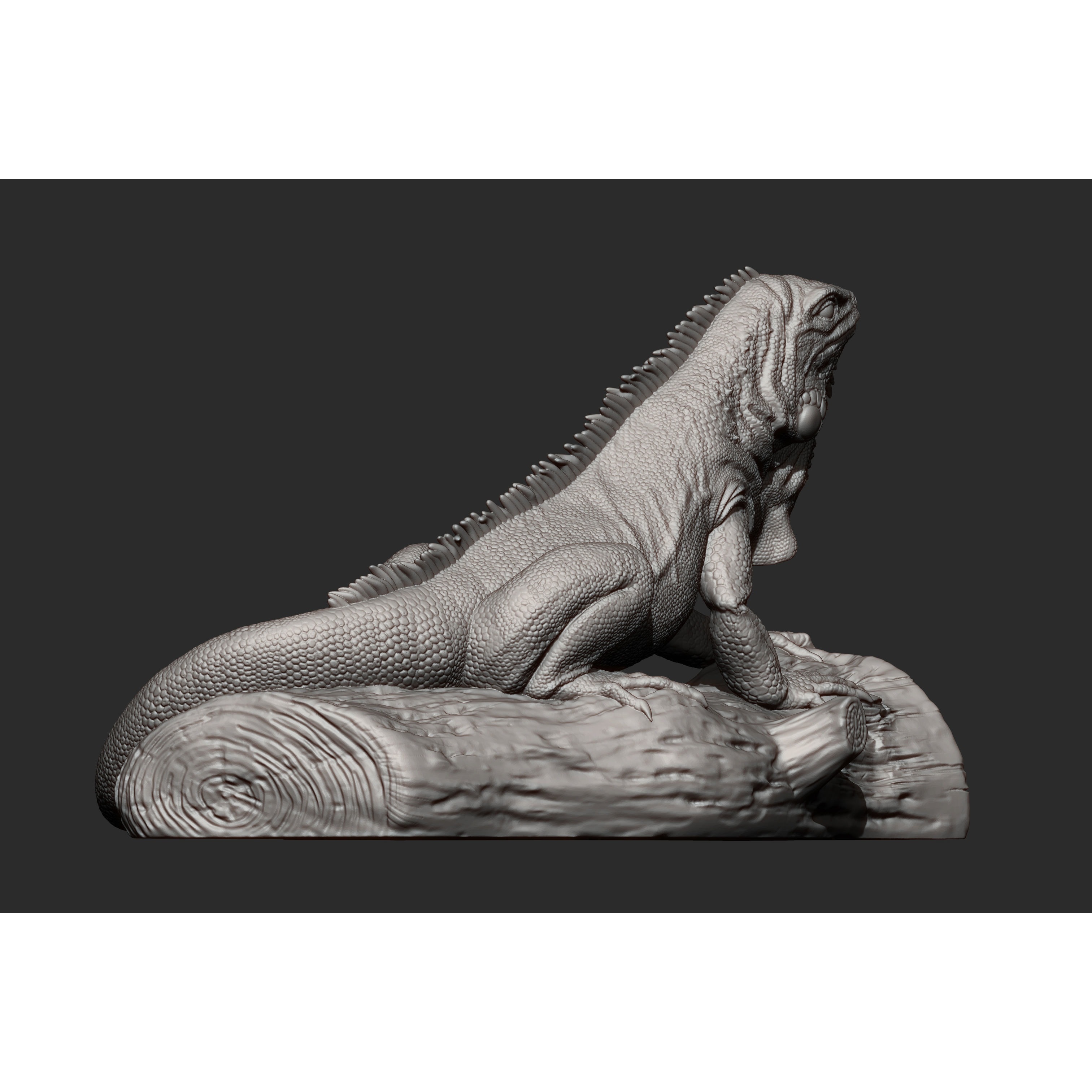 Iguana on log 3D print model 6