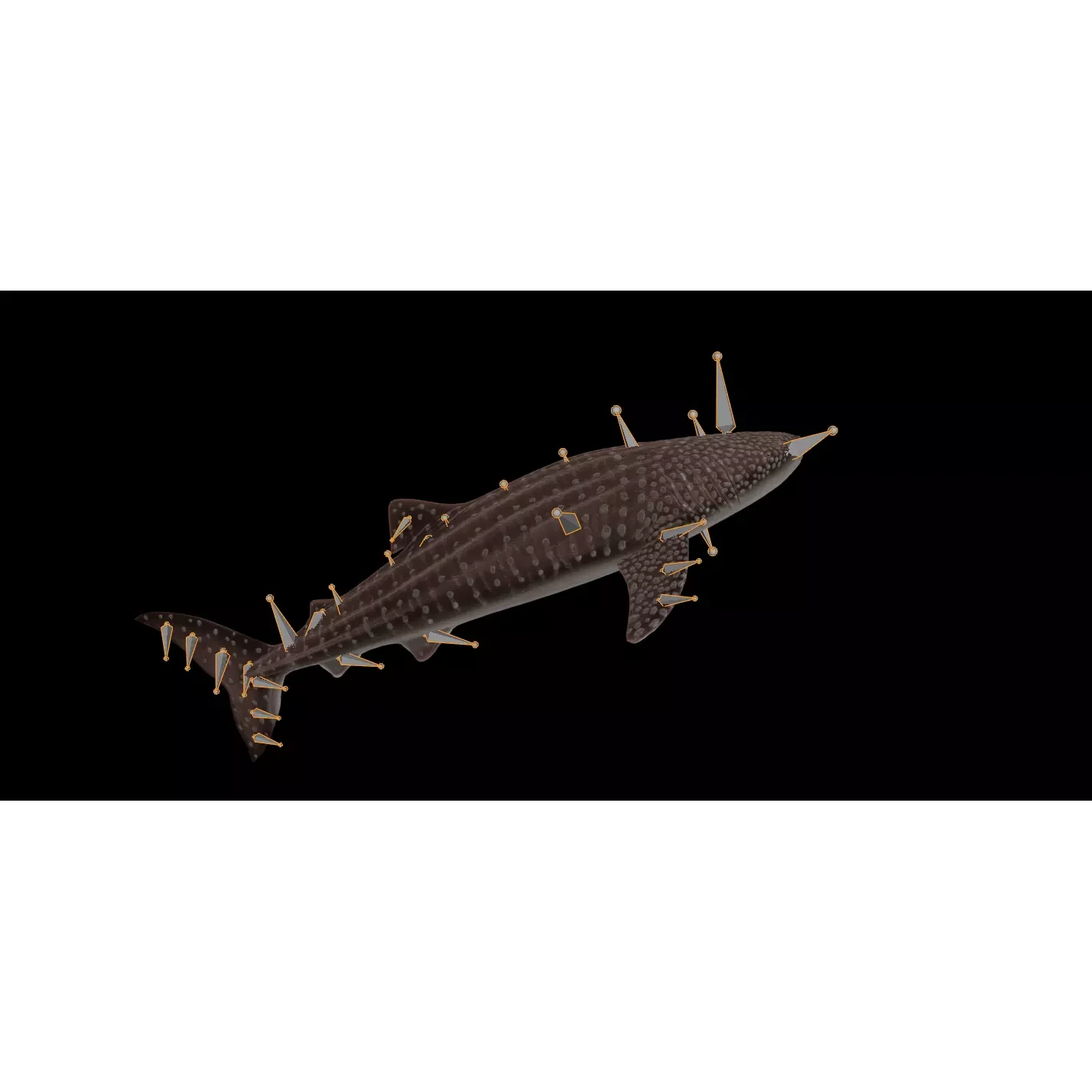 Injured Whale Shark Free low-poly 3D model 2
