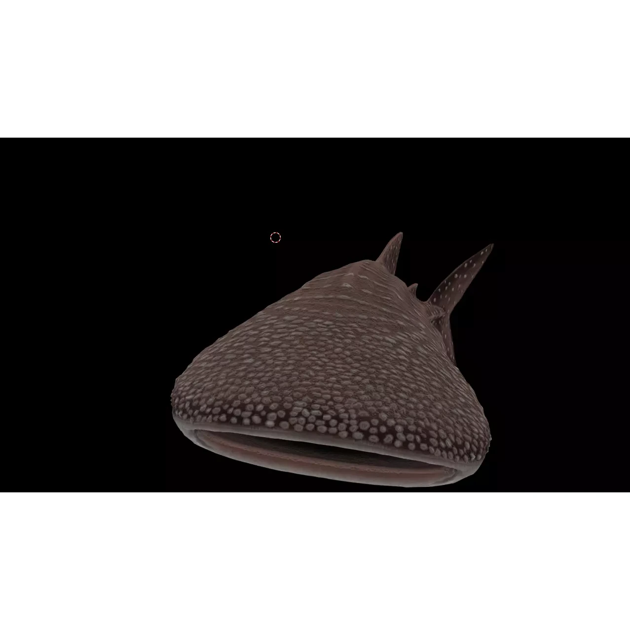 Injured Whale Shark Free low-poly 3D model 8