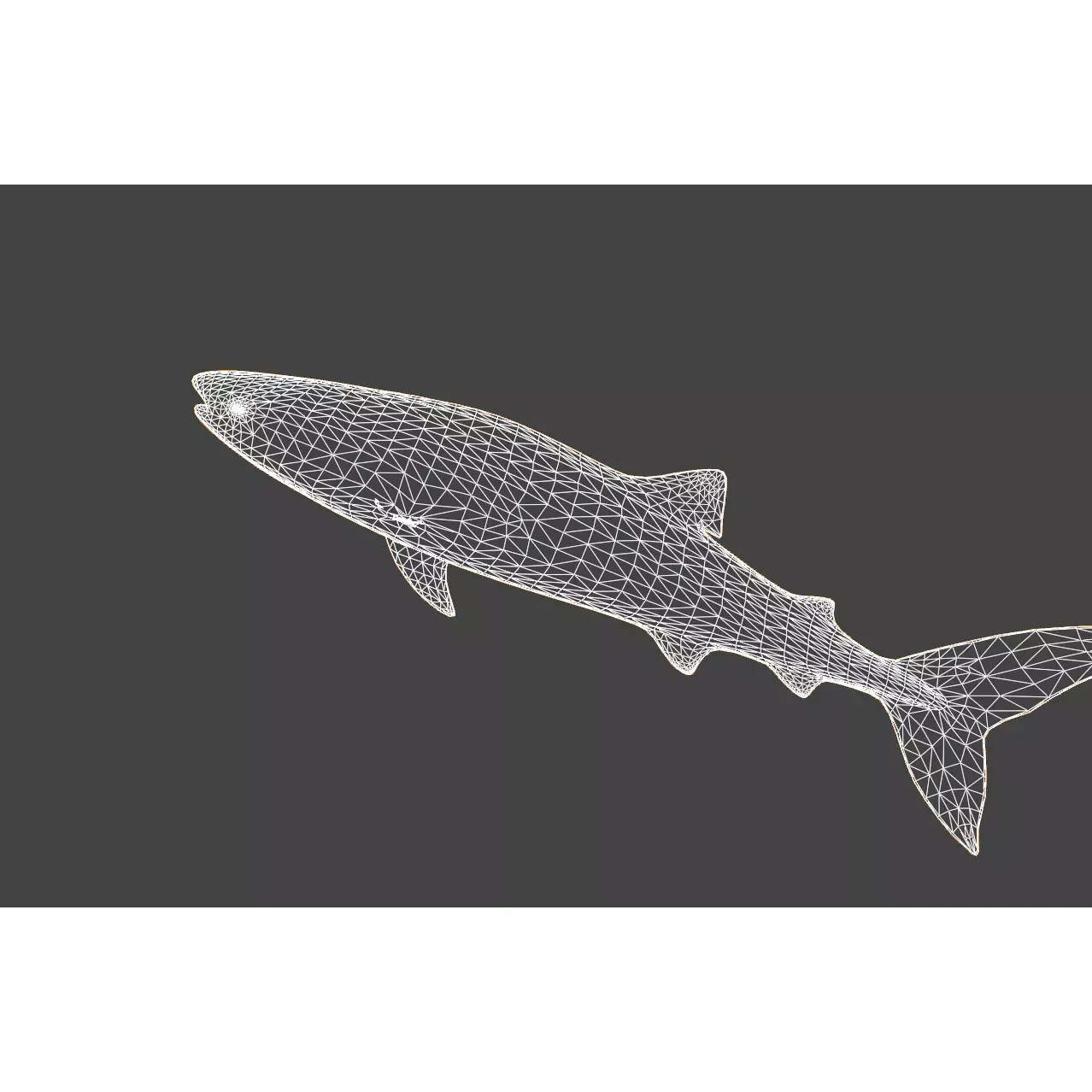 Injured Whale Shark Free low-poly 3D model 9