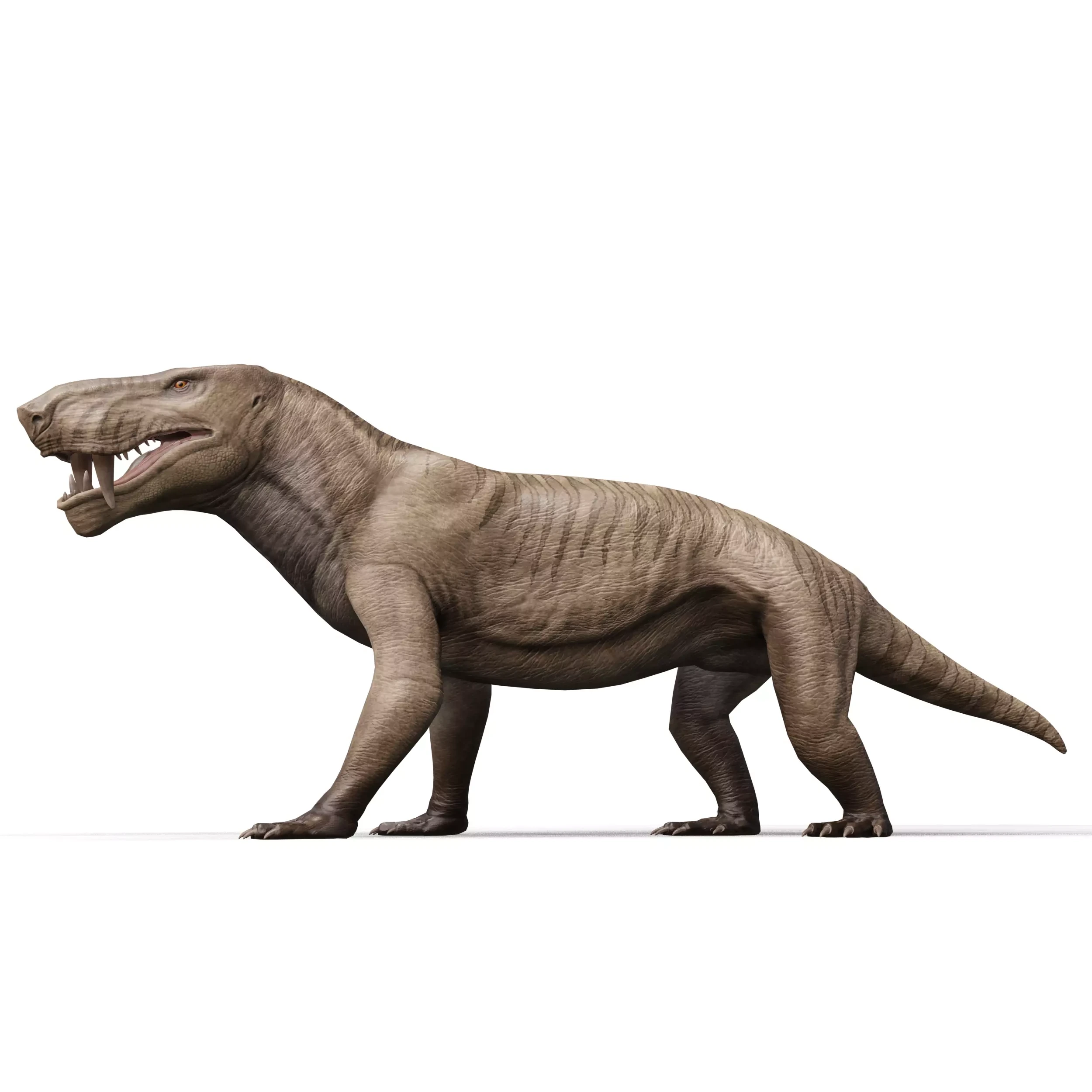 Inostrancevia Low-poly 3D model
