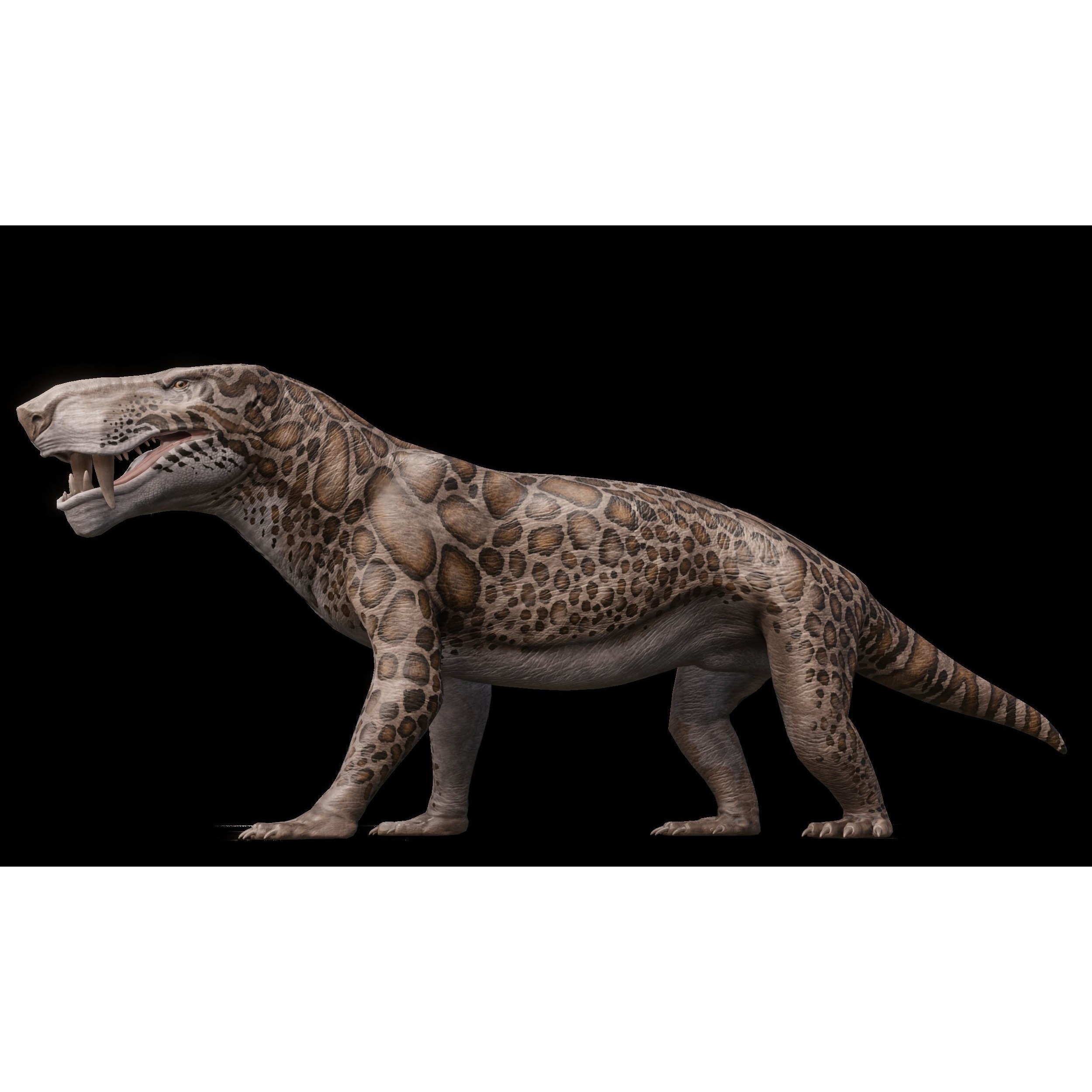 Inostrancevia Low-poly 3D model 5