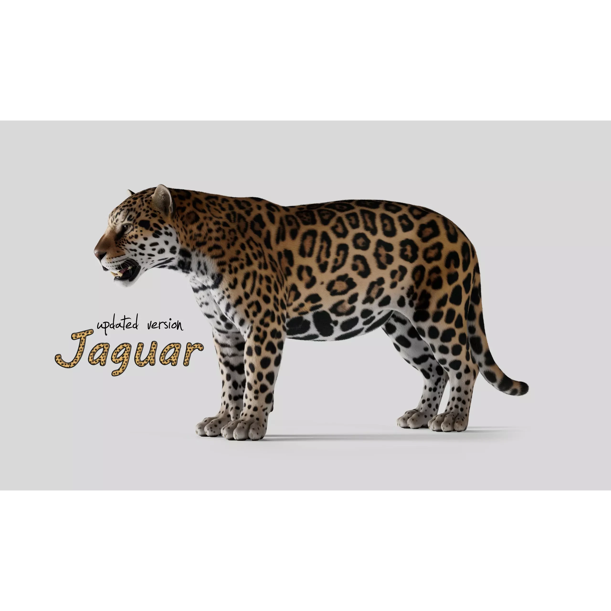 Jaguar For Production 3D model