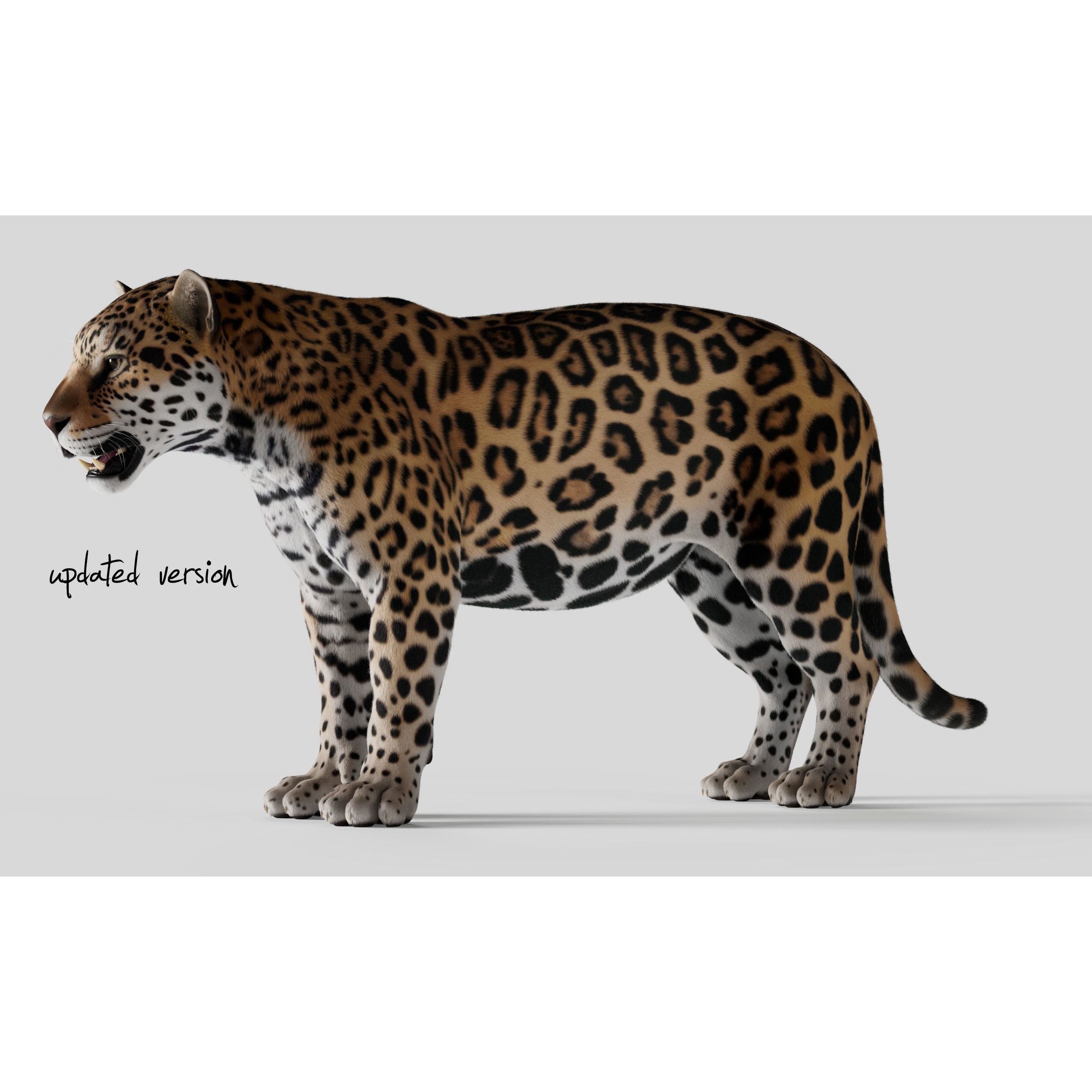 Jaguar For Production 3D model 3