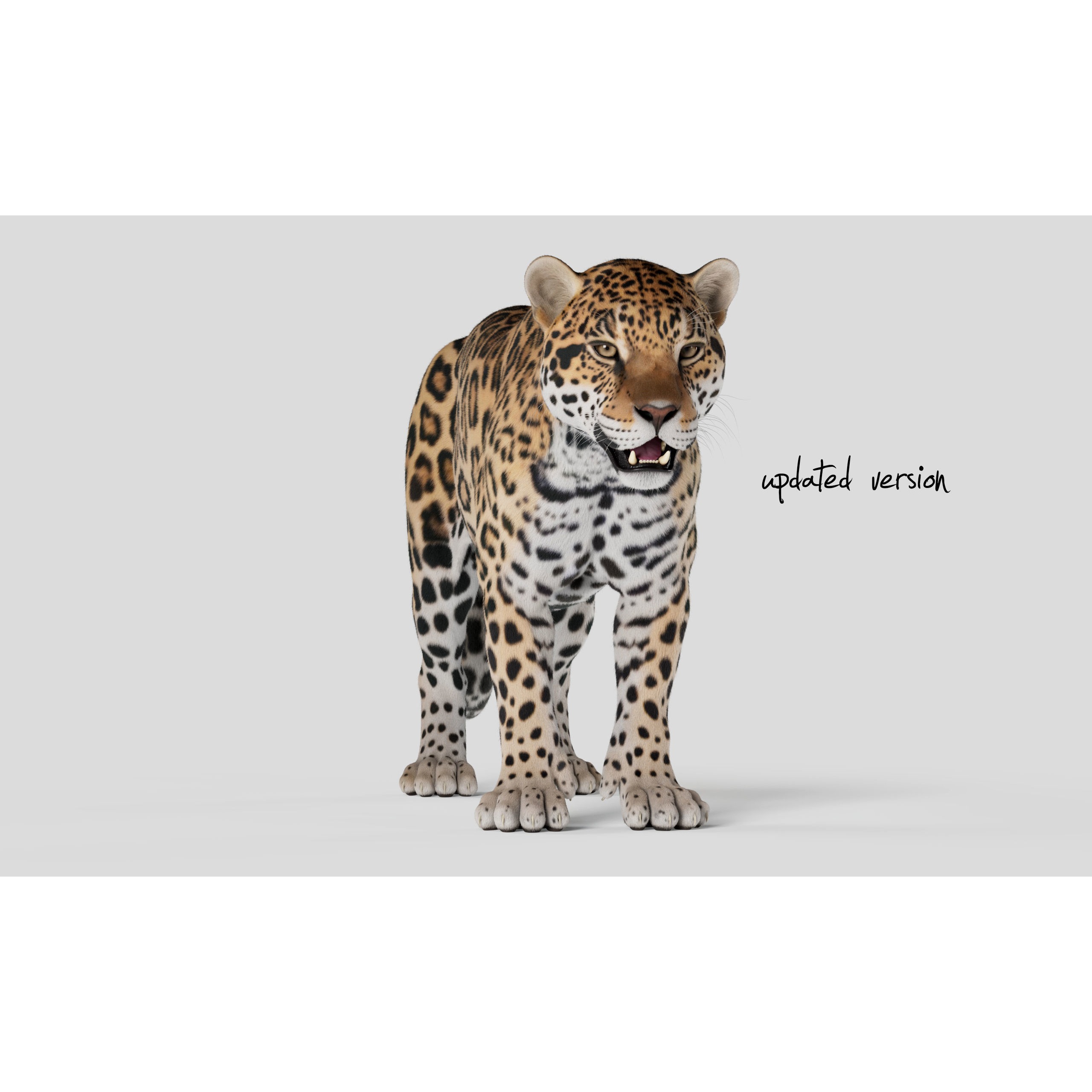 Jaguar For Production 3D model 5