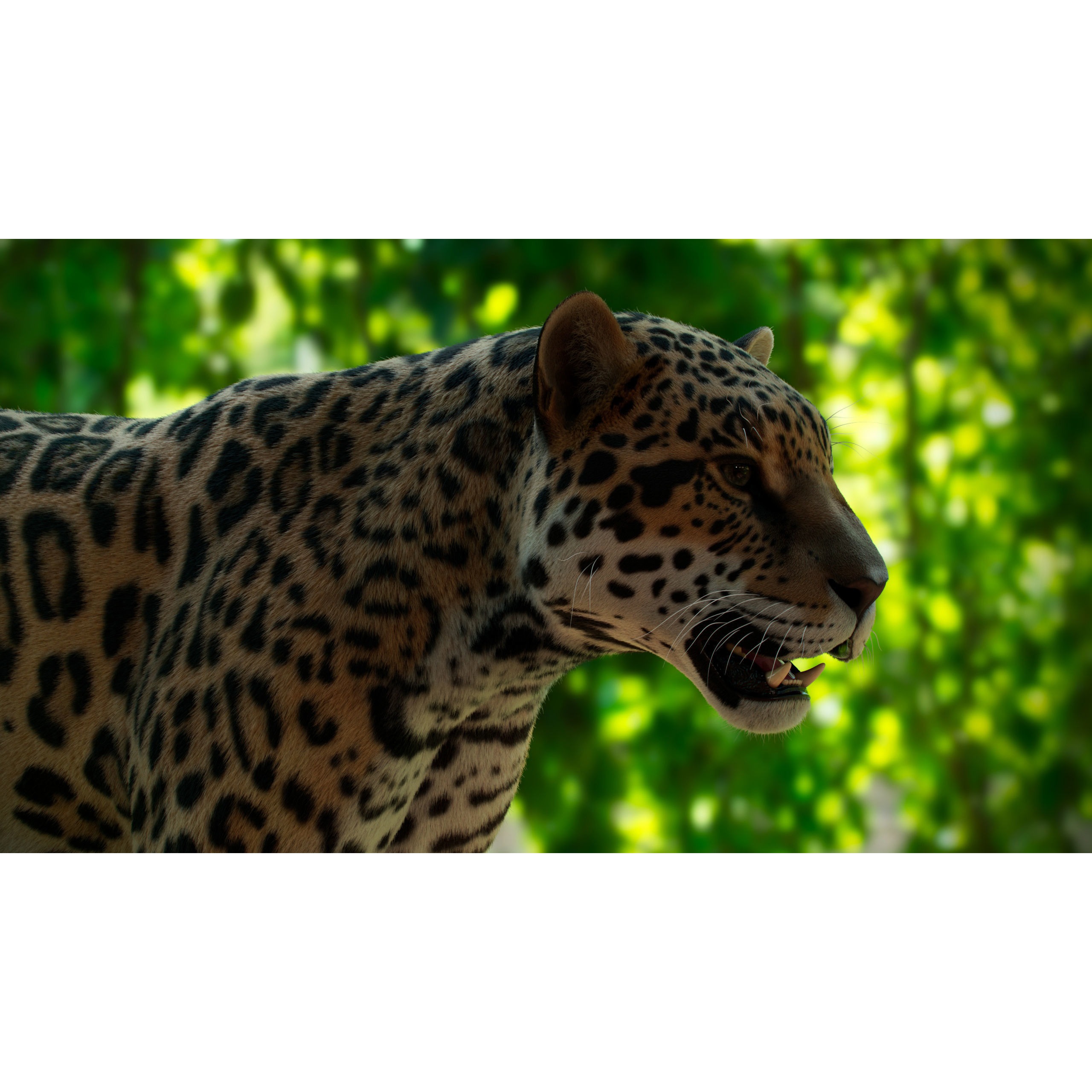 Jaguar For Production 3D model 6