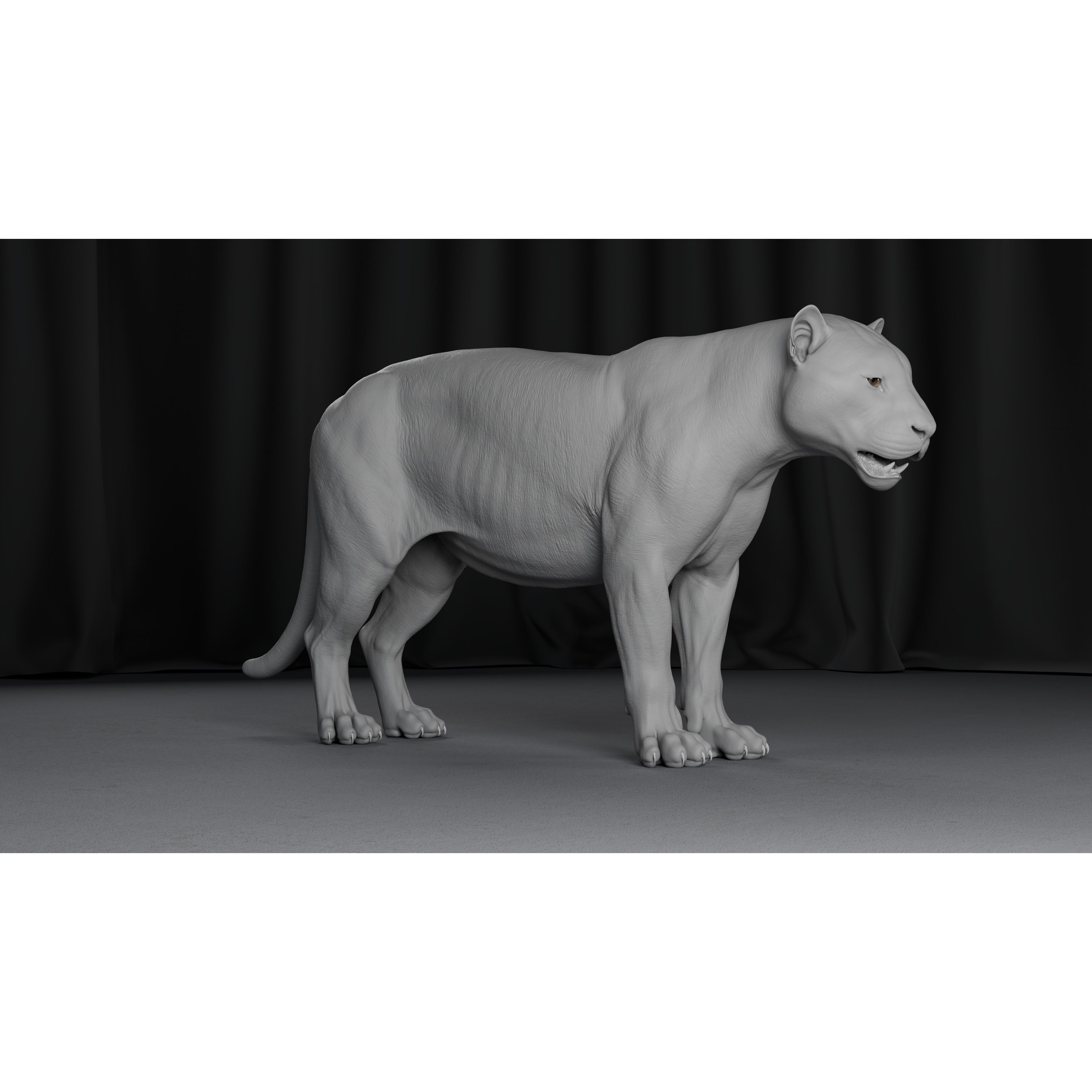 Jaguar For Production 3D model 10