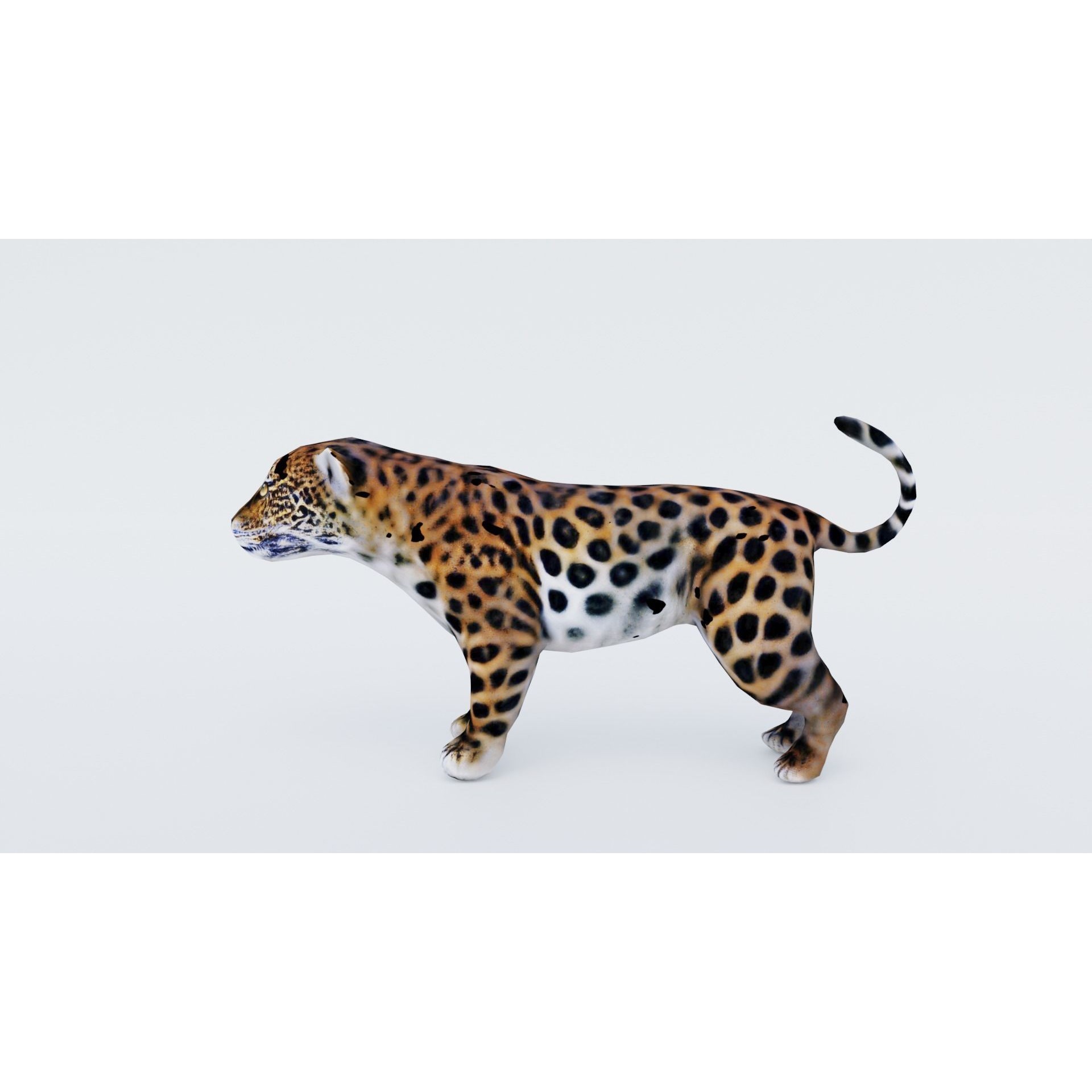 Jaguar Free 3D model 2