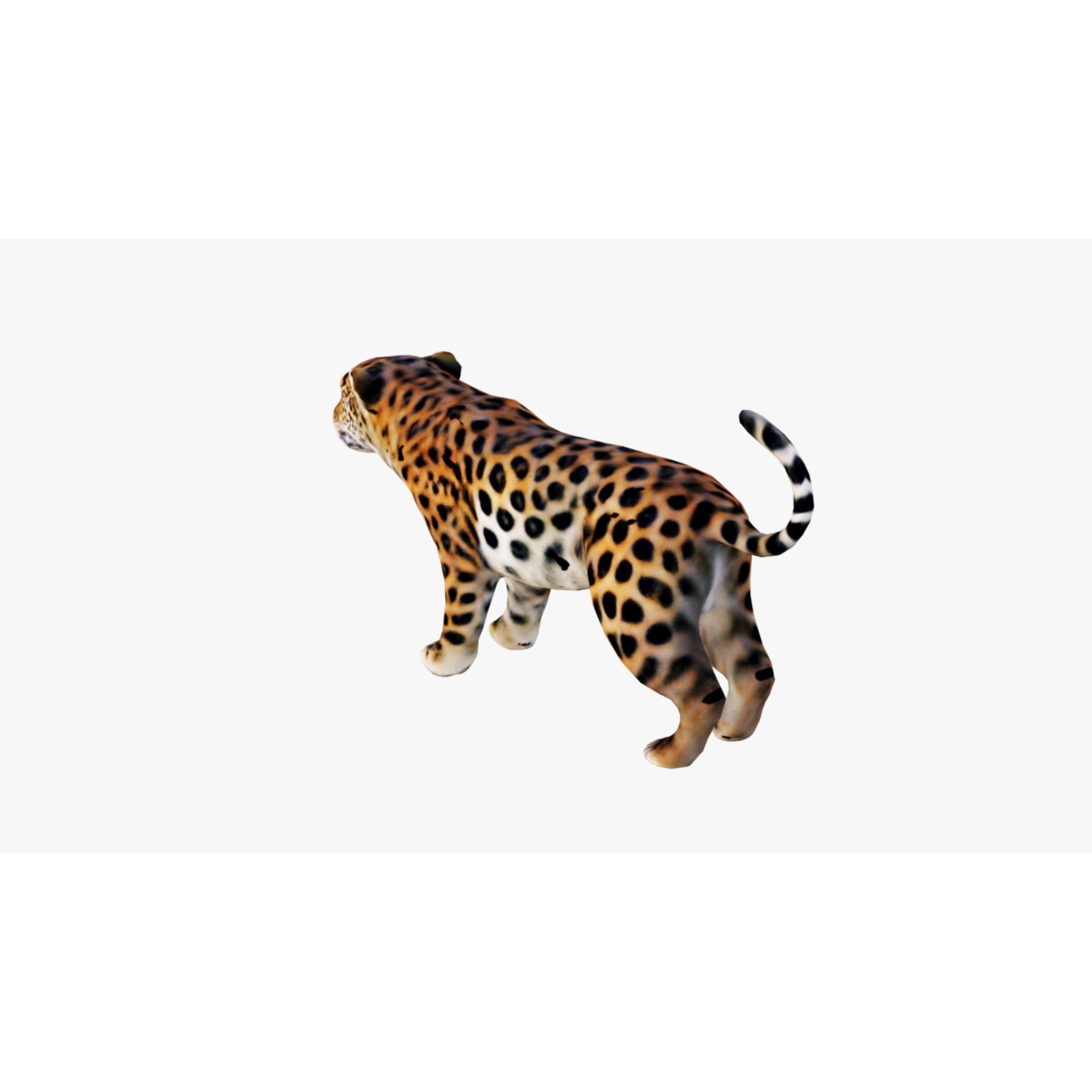 Jaguar Free 3D model 4