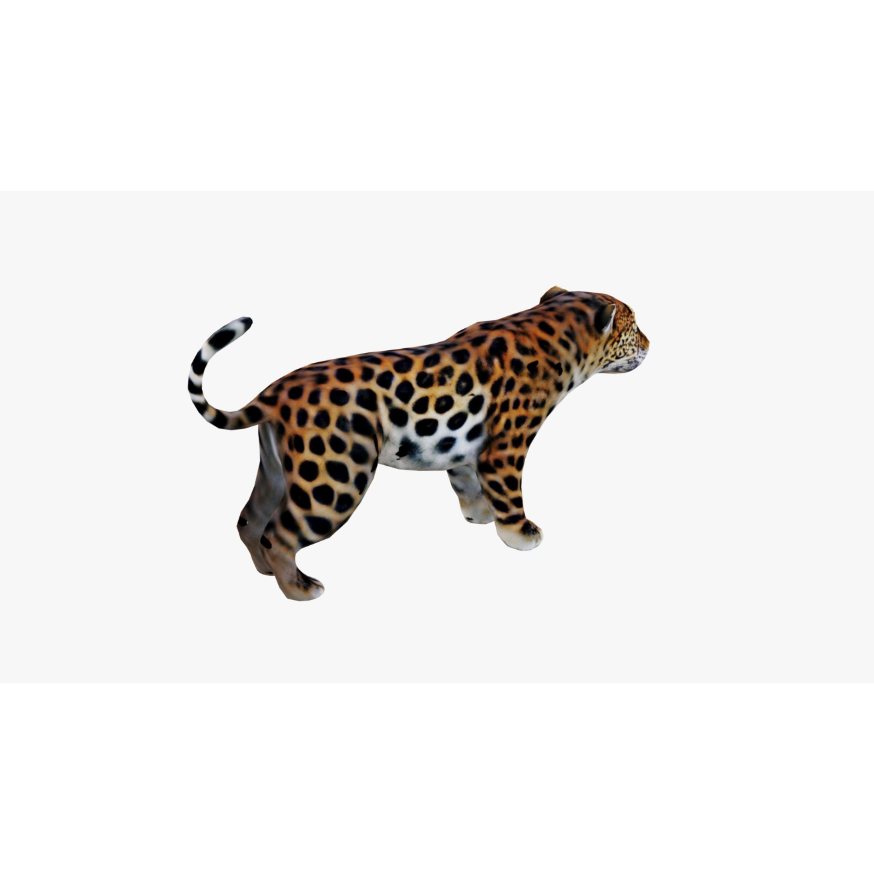 Jaguar Free 3D model 5