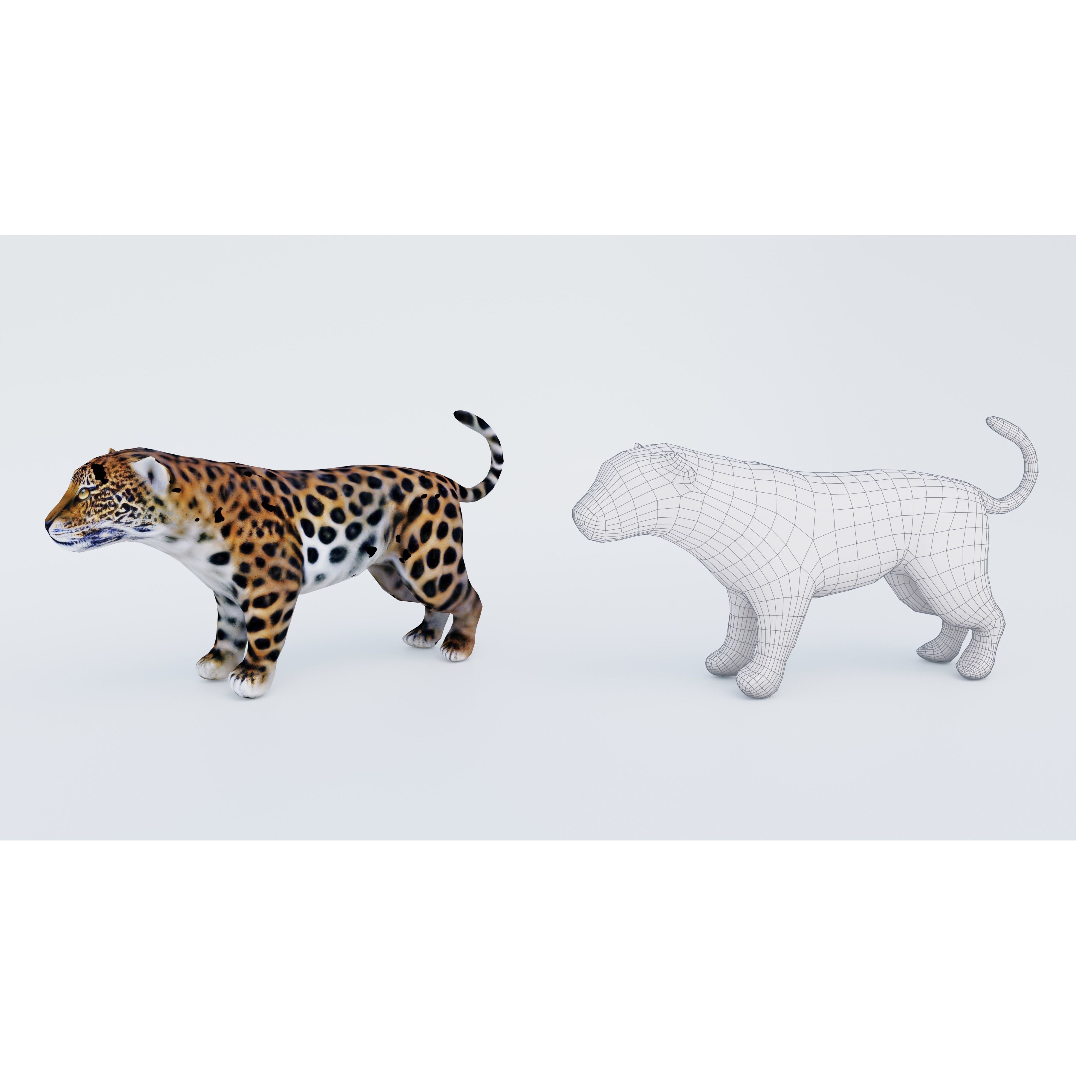 Jaguar Free 3D model 6