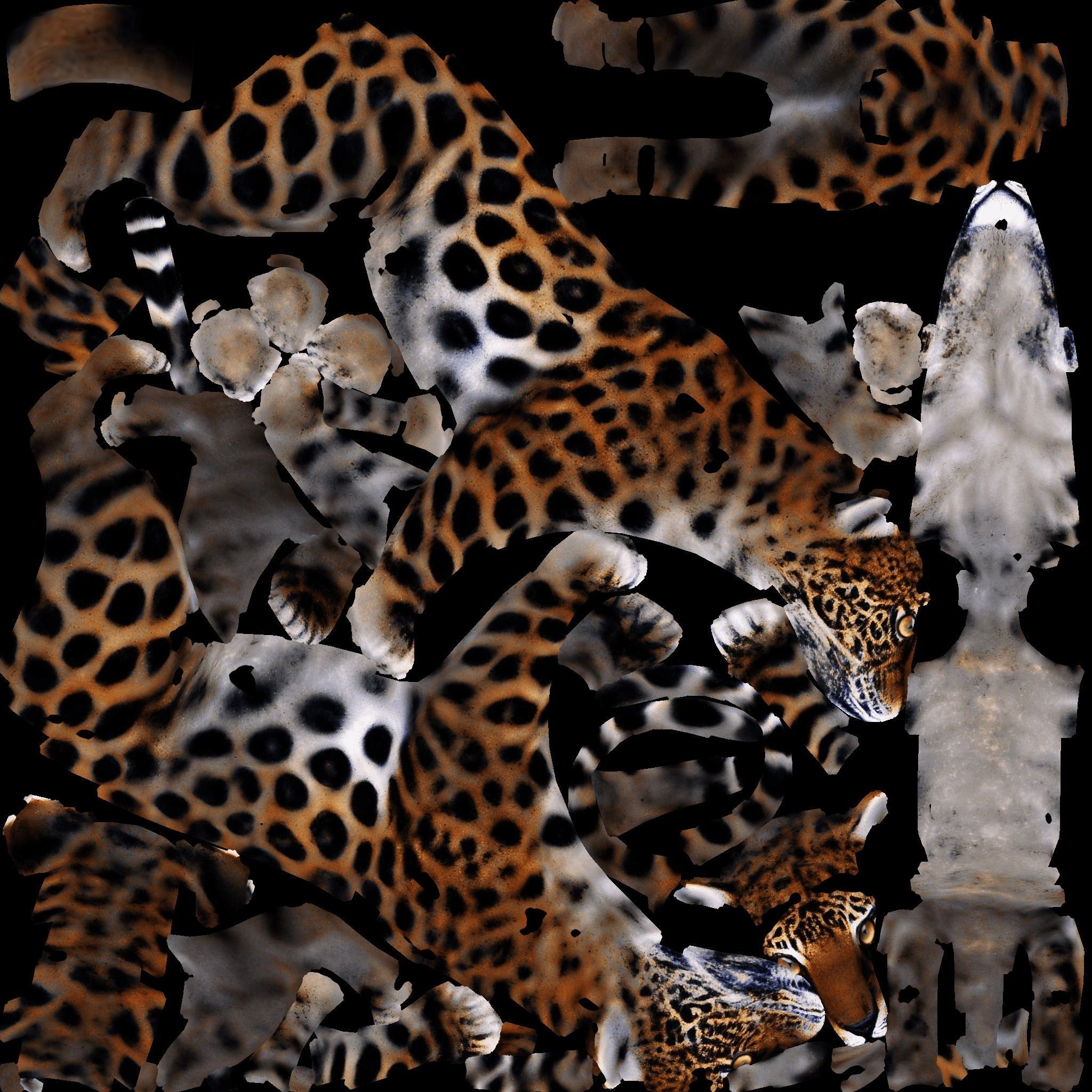 Jaguar Free 3D model 8