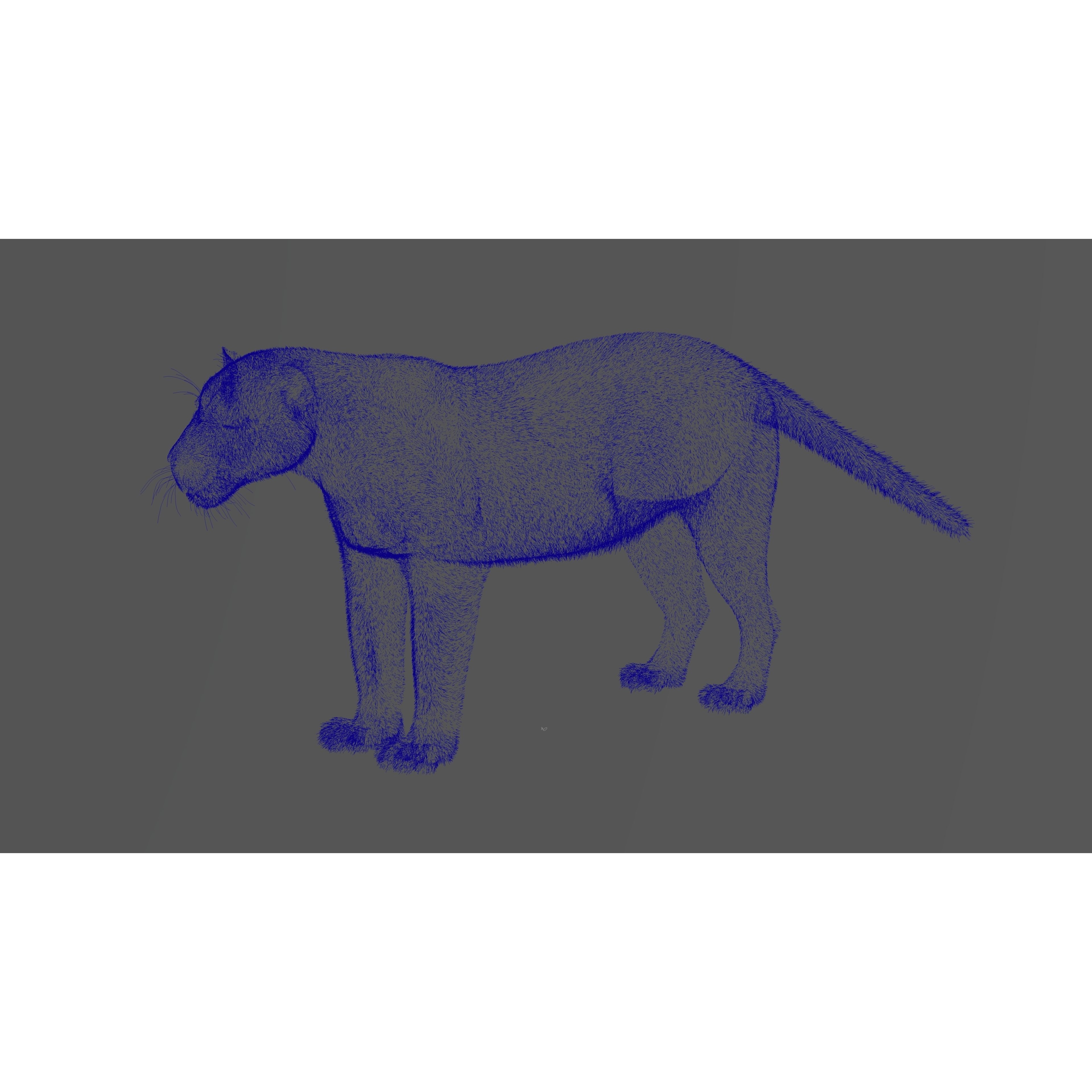 Jaguar-Panthera Onca- Animated VFX Grace 3D model 10