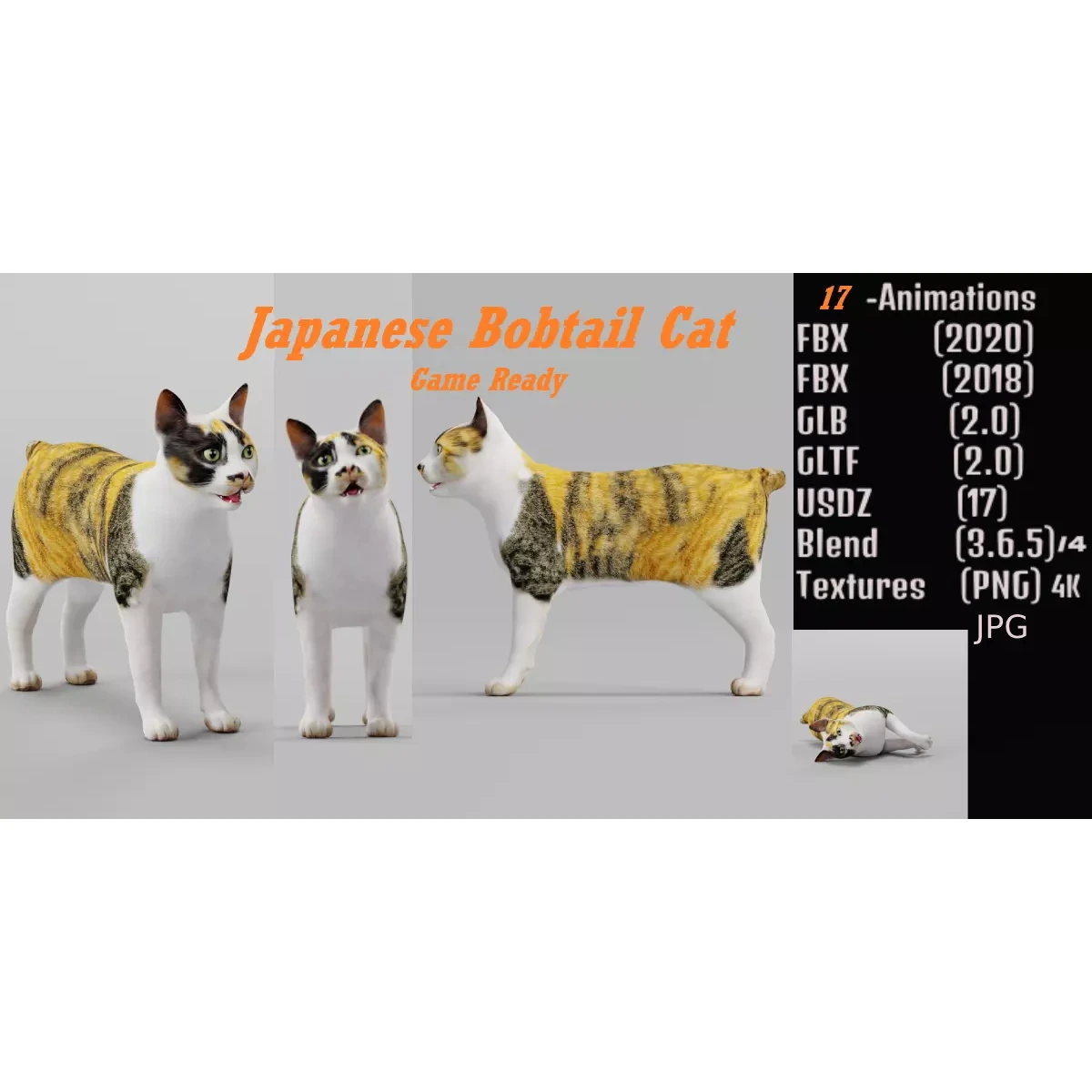 Japanese Bobtail Cat Low-poly 3D model