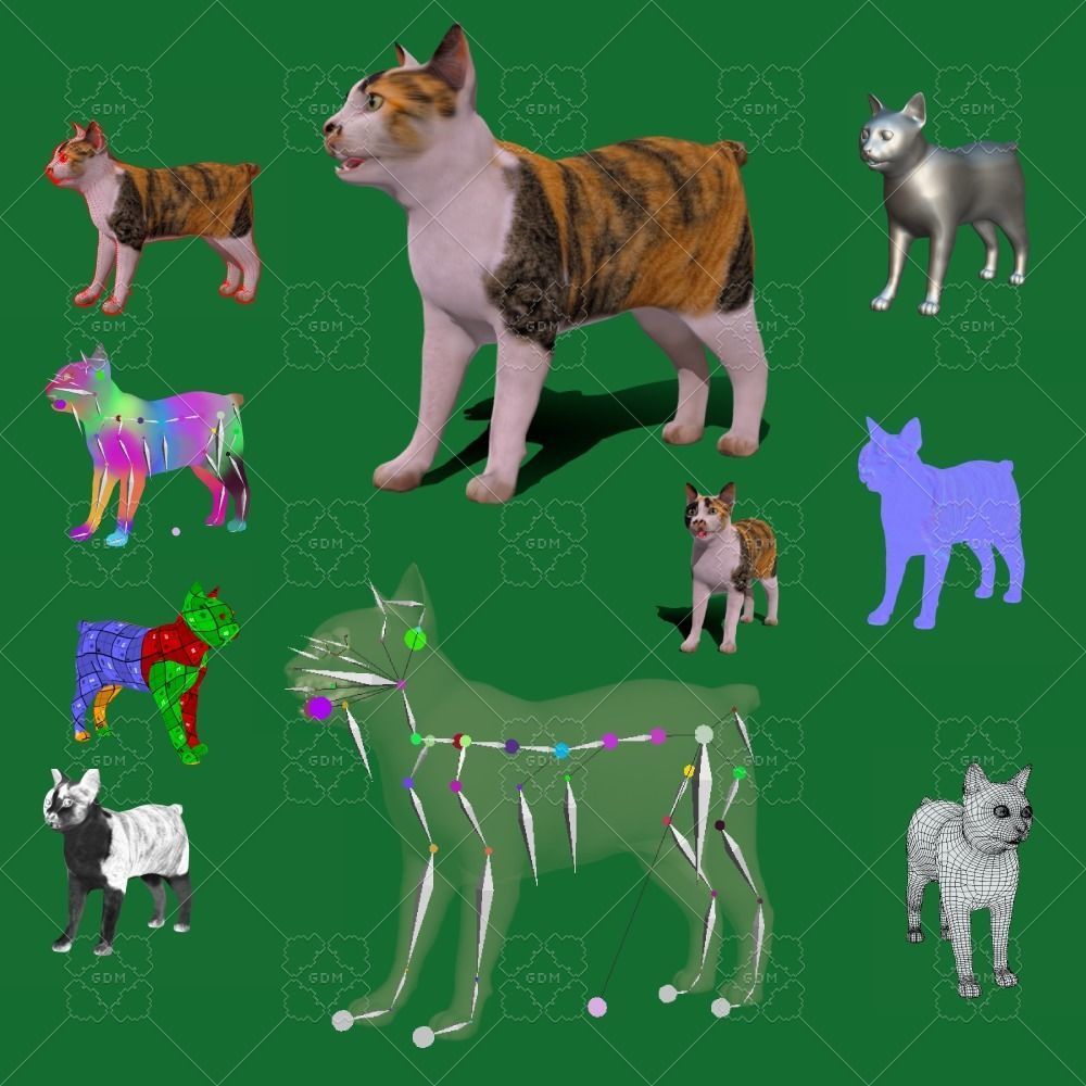 Japanese Bobtail Cat Low-poly 3D model 2