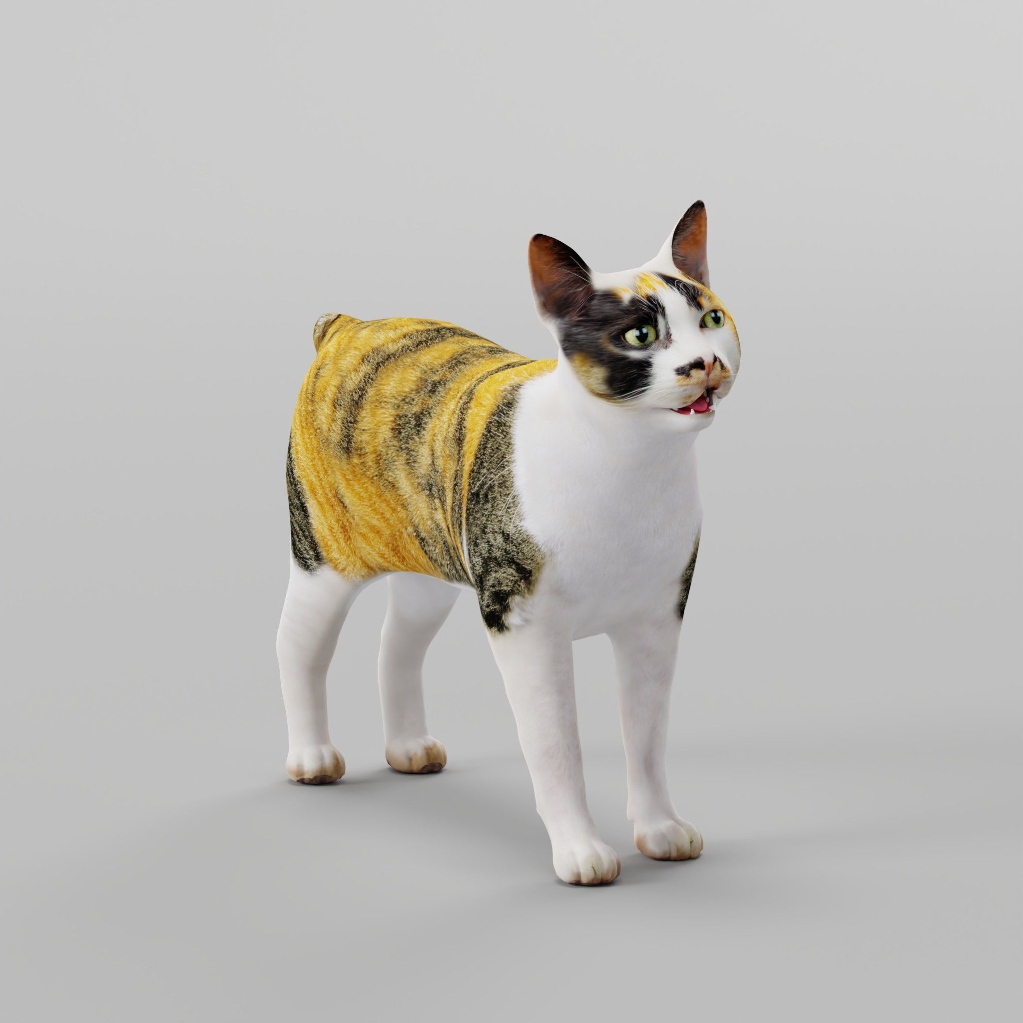 Japanese Bobtail Cat Low-poly 3D model 3