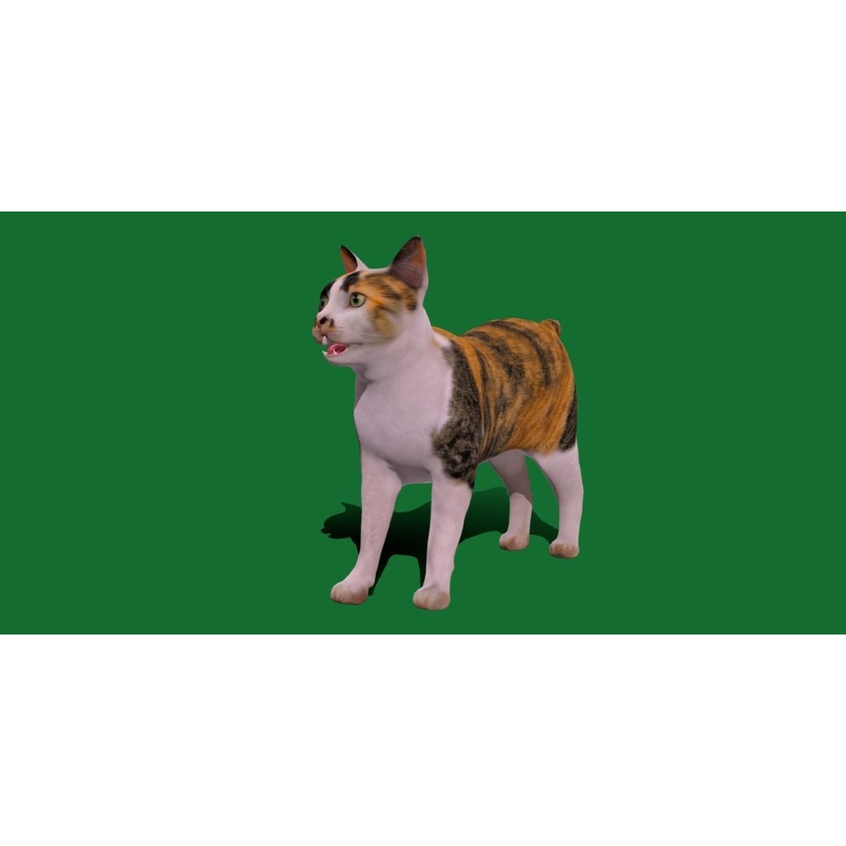 Japanese Bobtail Cat Low-poly 3D model 10