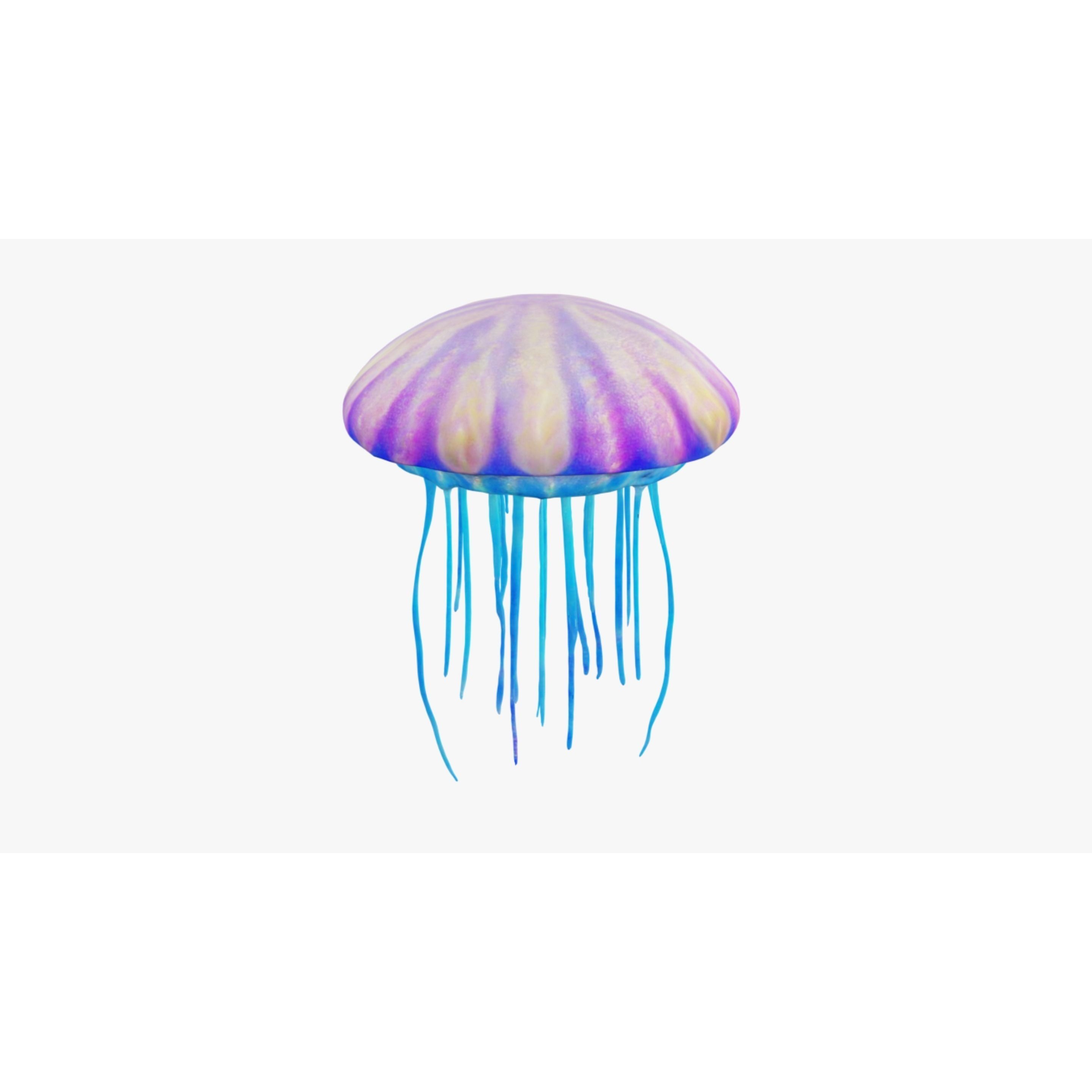 Jellyfish Free 3D model 3