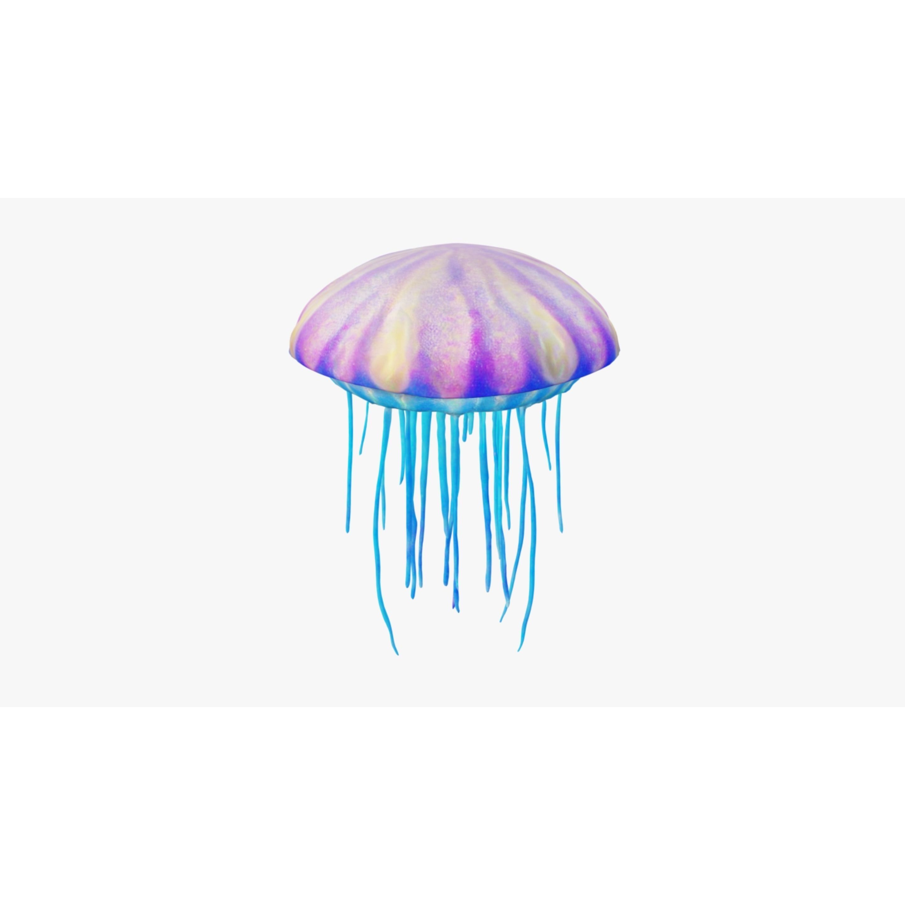 Jellyfish Free 3D model 4