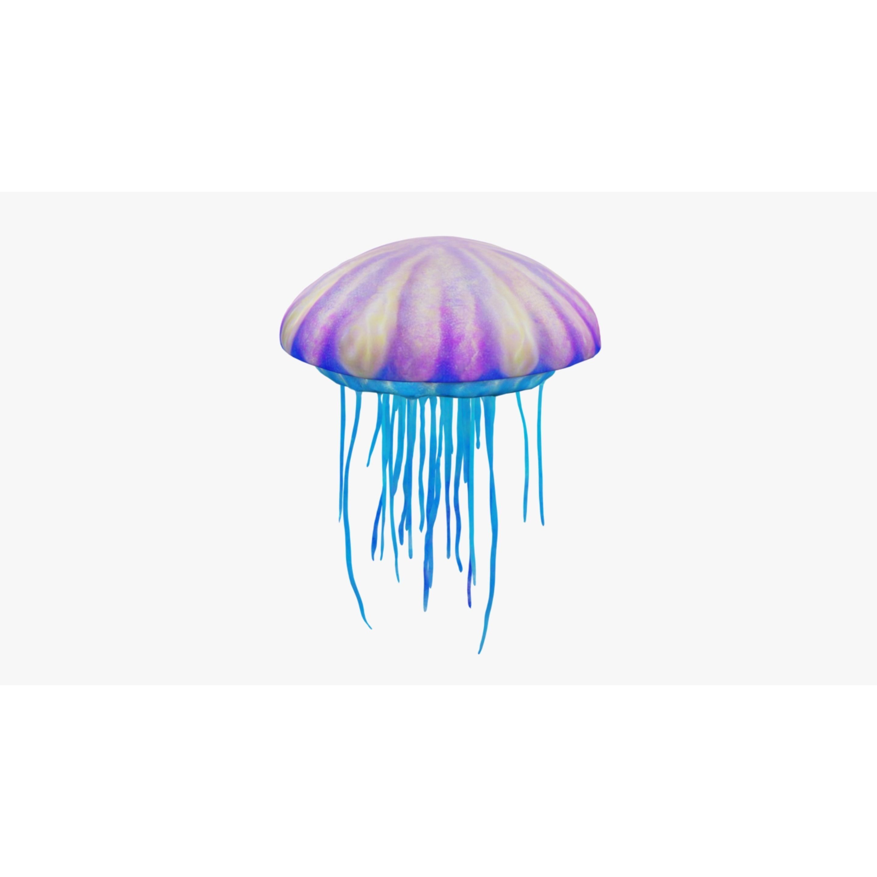 Jellyfish Free 3D model 5