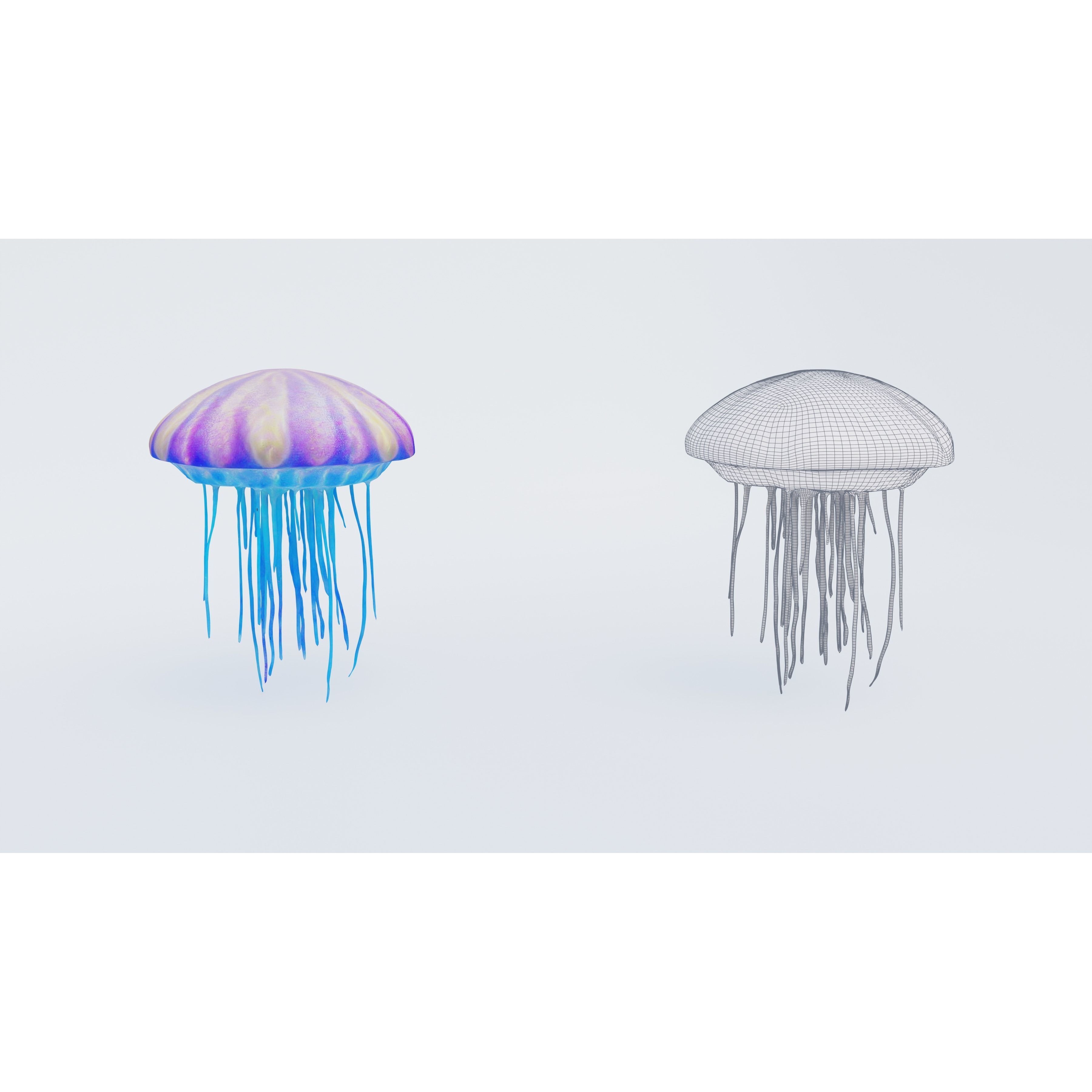 Jellyfish Free 3D model 6