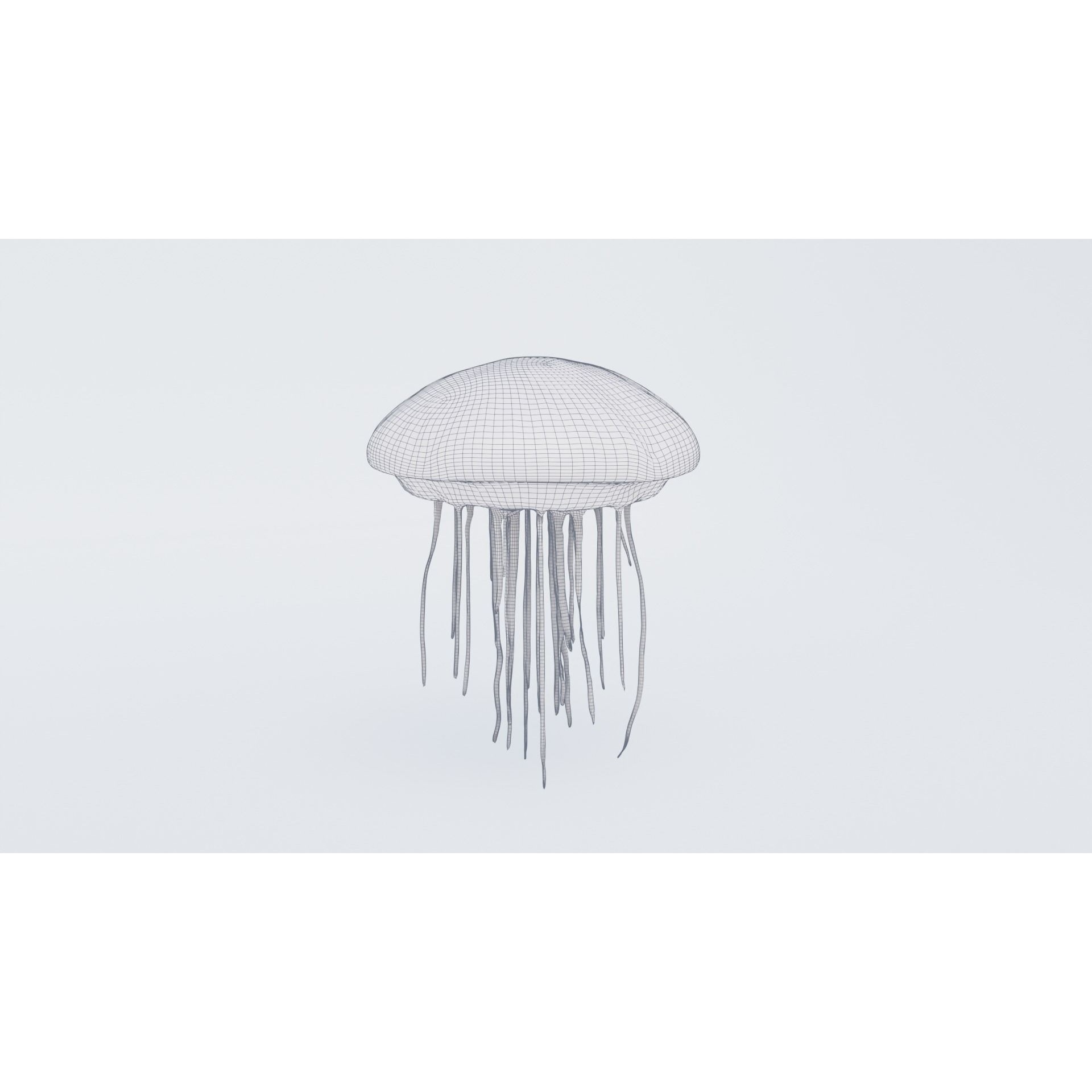 Jellyfish Free 3D model 7