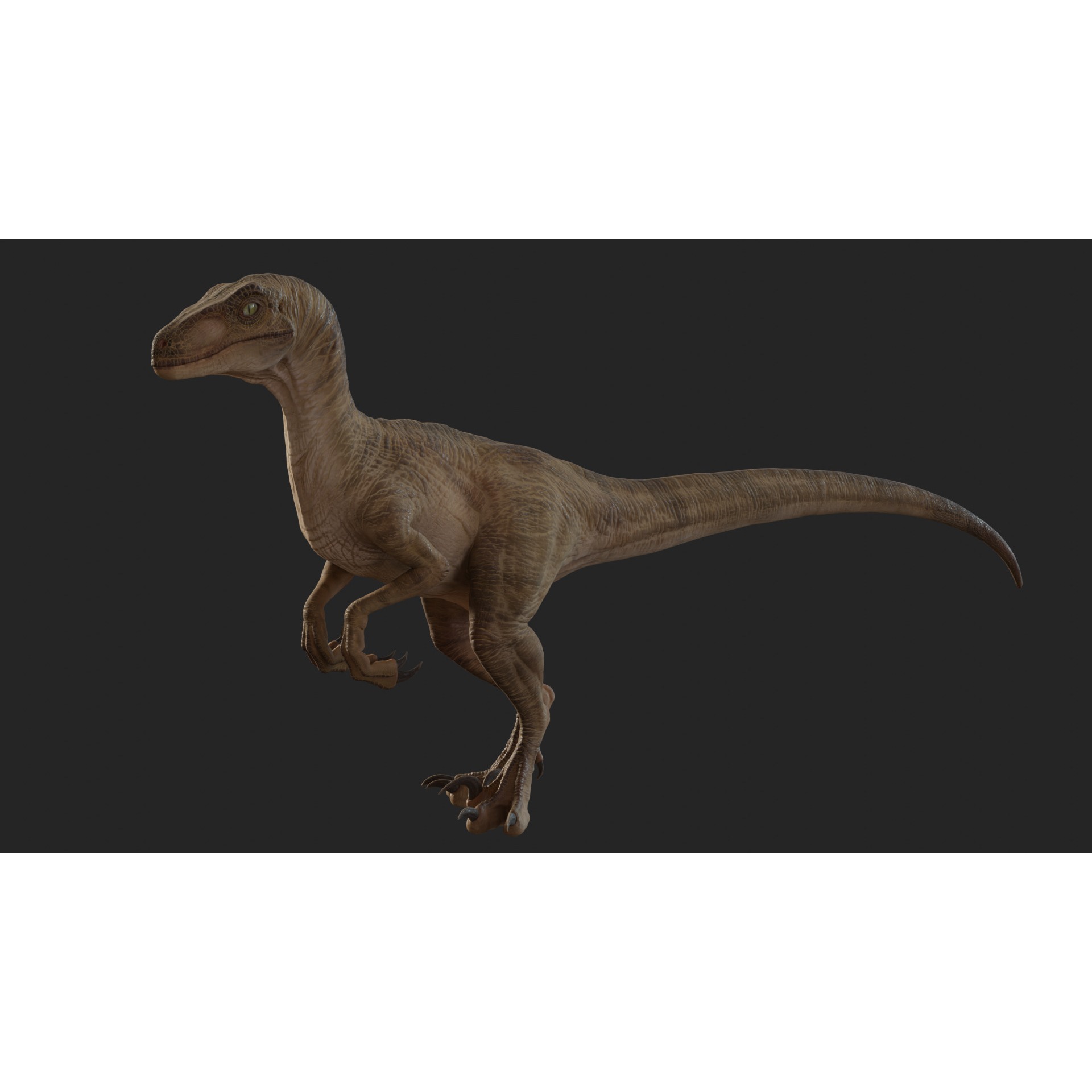 Jurassic Park Park Velociraptor Blender Low-poly 3D model 3