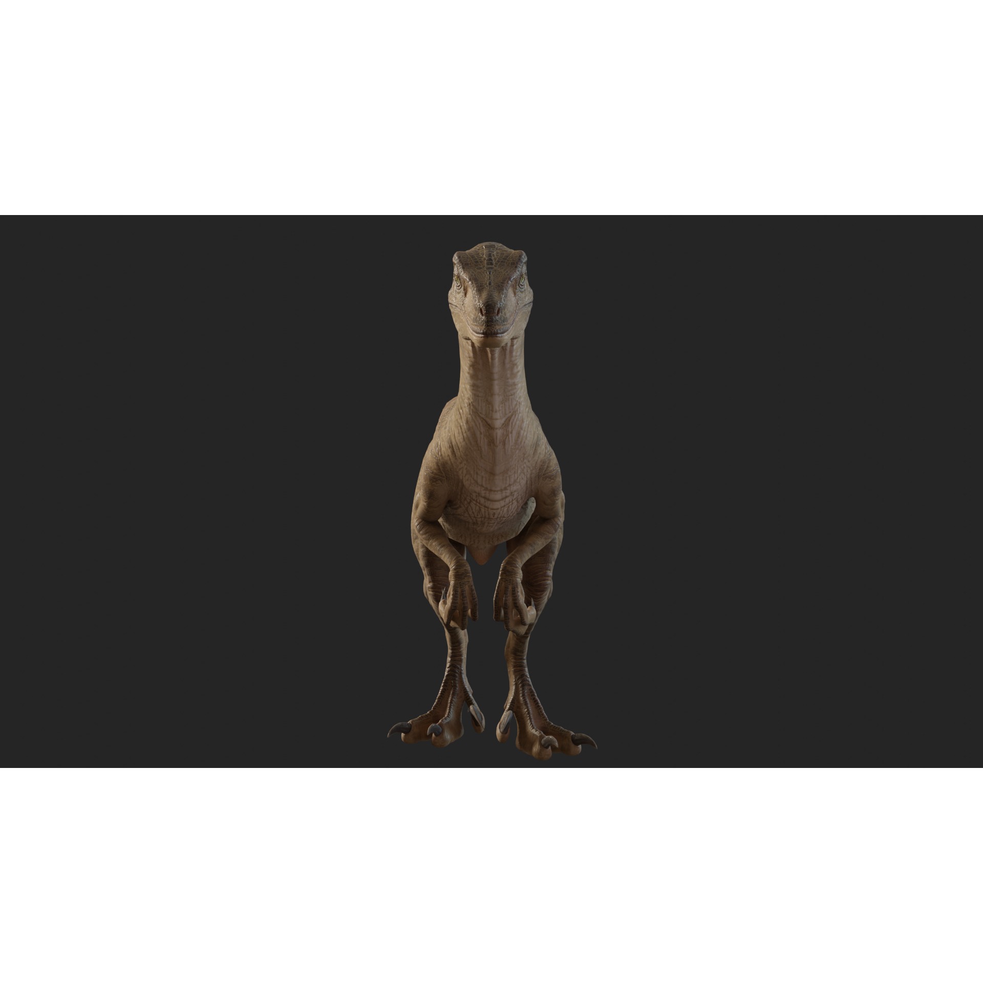 Jurassic Park Park Velociraptor Blender Low-poly 3D model 6