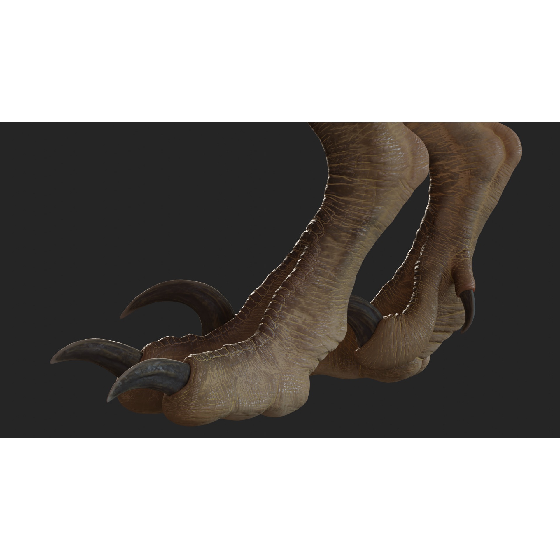 Jurassic Park Park Velociraptor Blender Low-poly 3D model 7