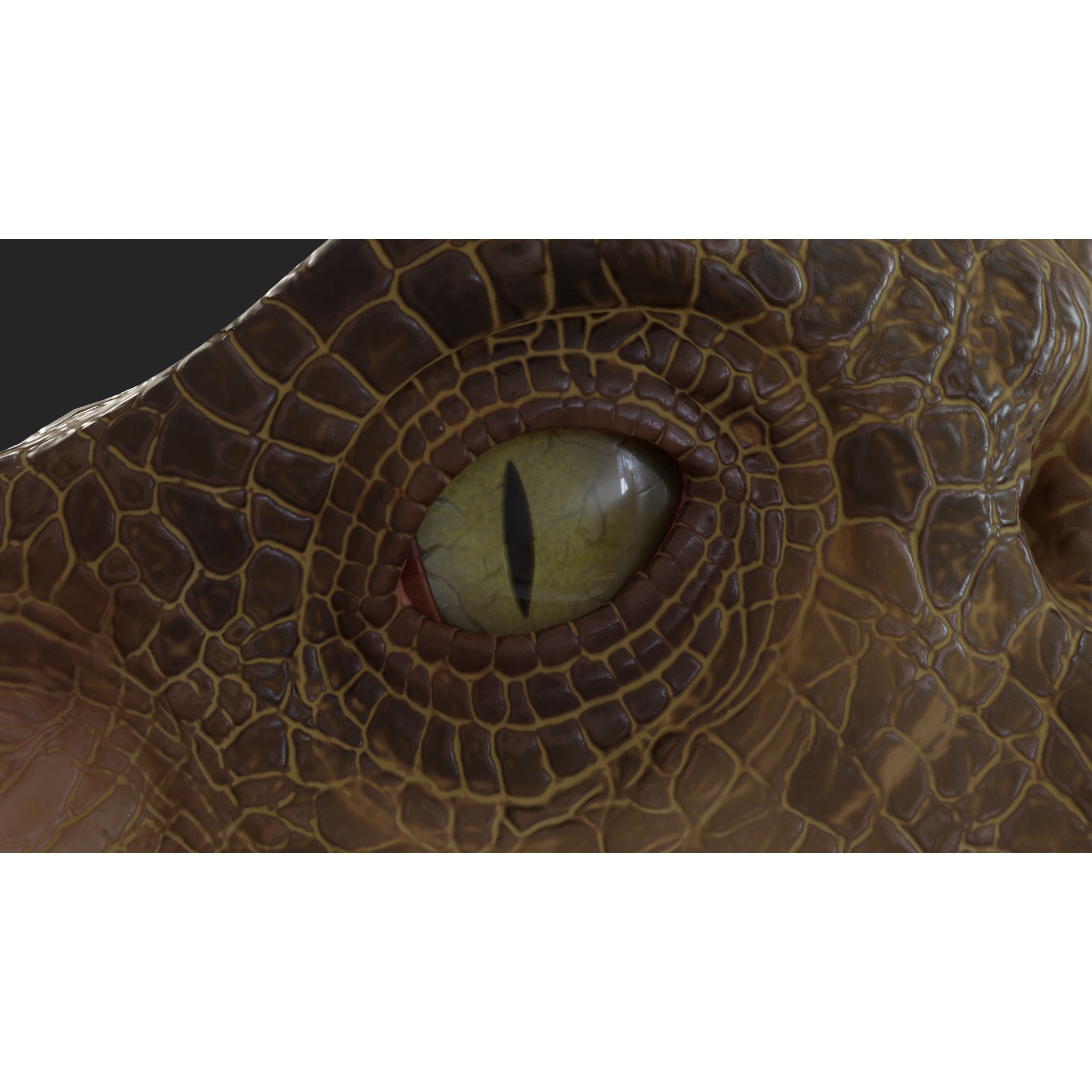 Jurassic Park Park Velociraptor Blender Low-poly 3D model 9