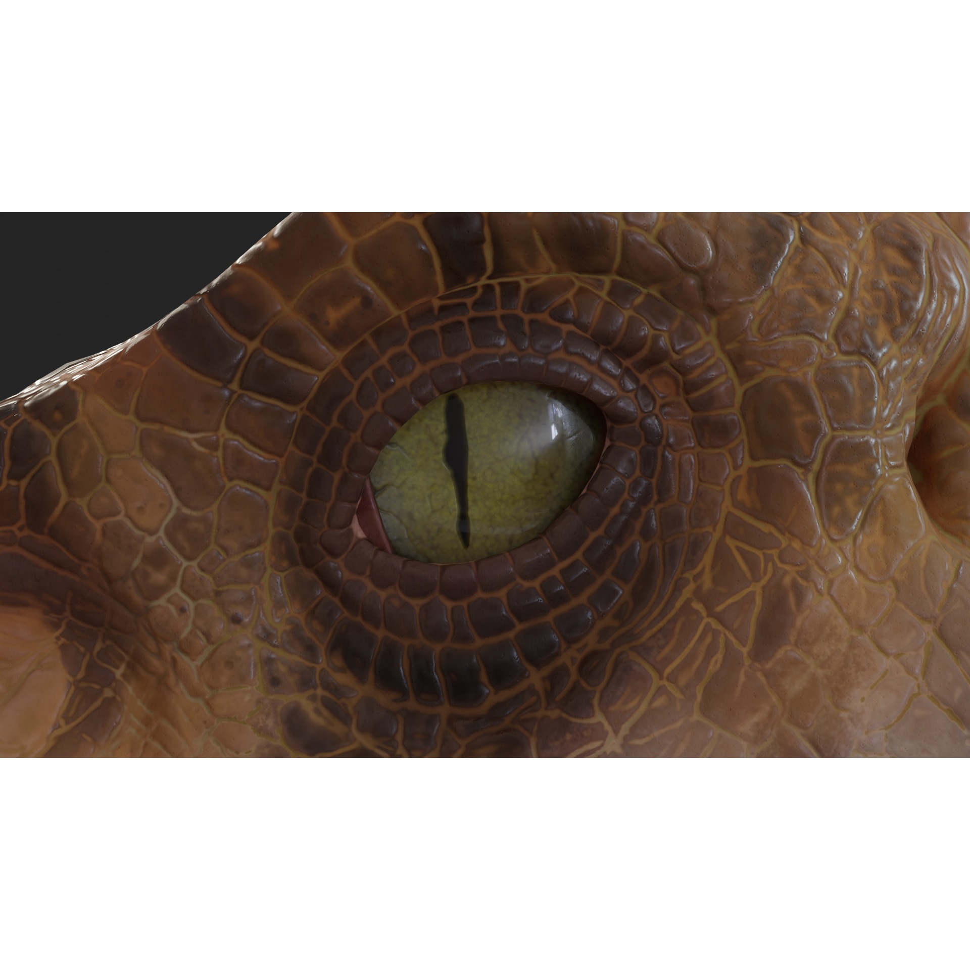 Jurassic Park Park Velociraptor Blender Low-poly 3D model 10