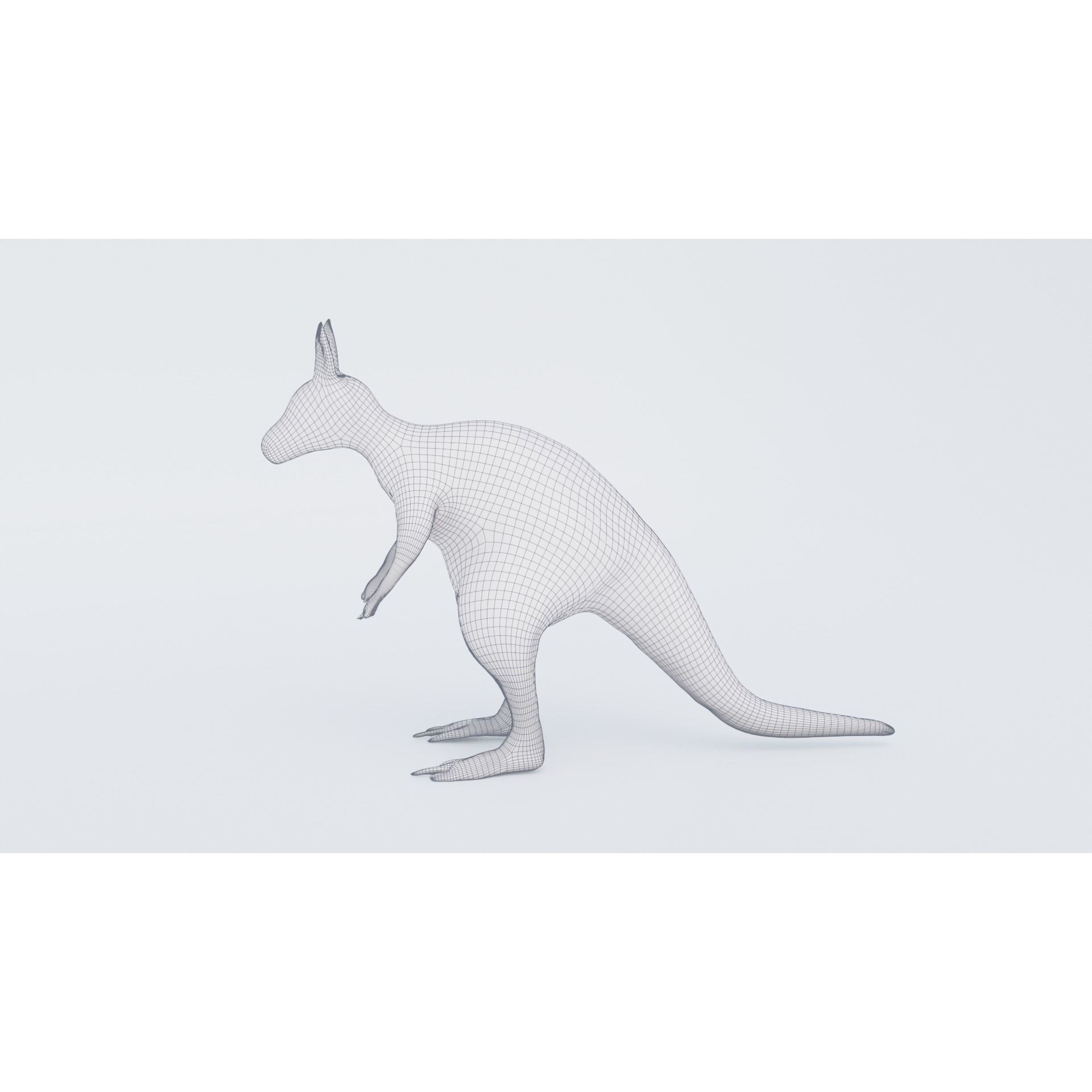 Kangaroo Free 3D model 7