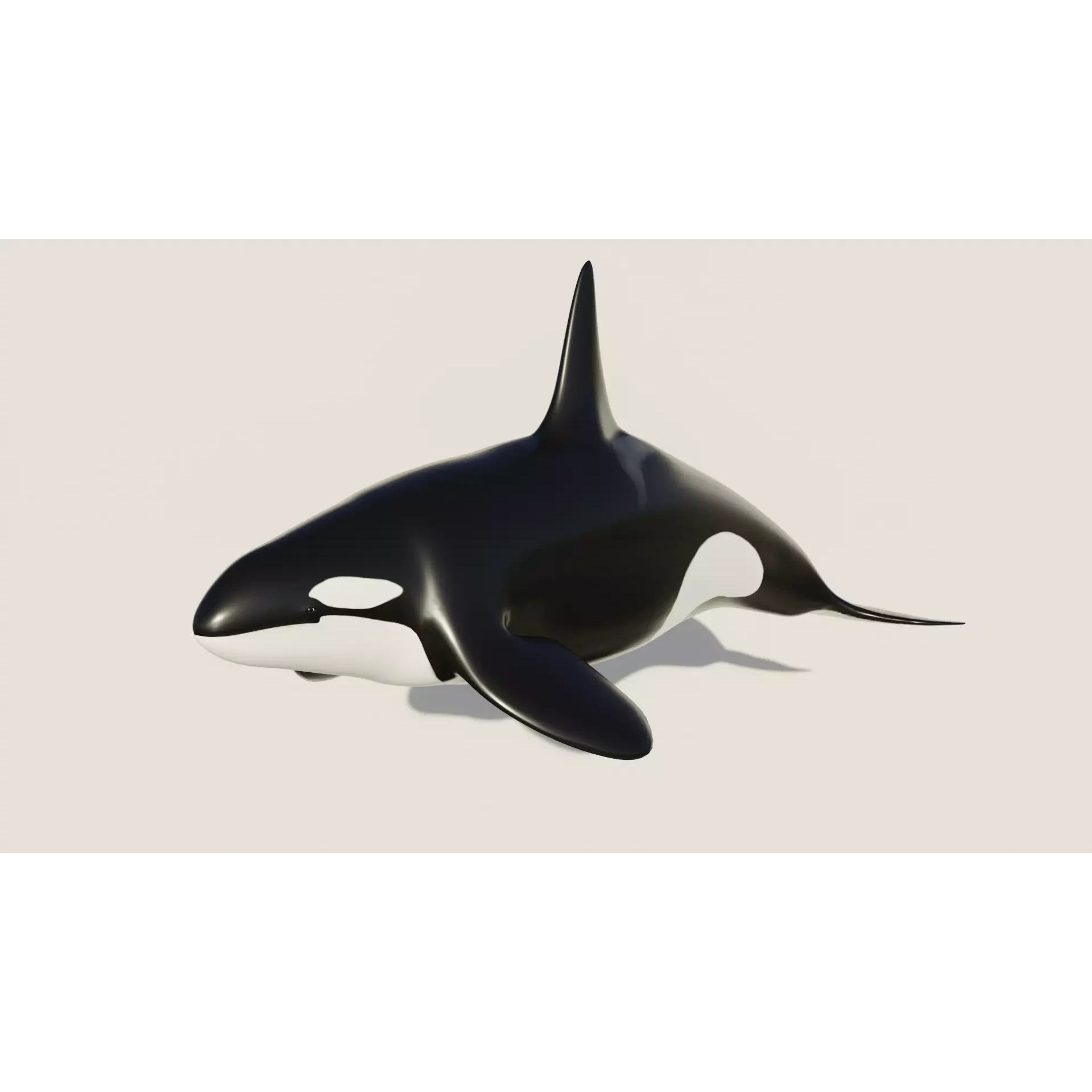 Killer Whale - Low-poly 3D model Free low-poly 3D model