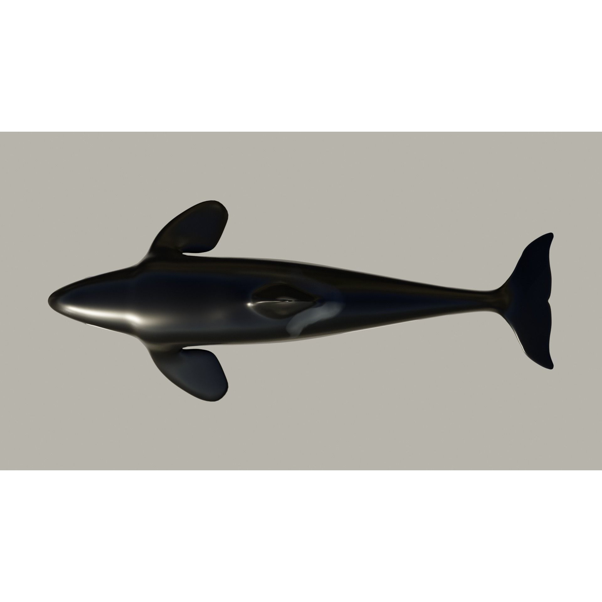 Killer Whale - Low-poly 3D model Free low-poly 3D model 3