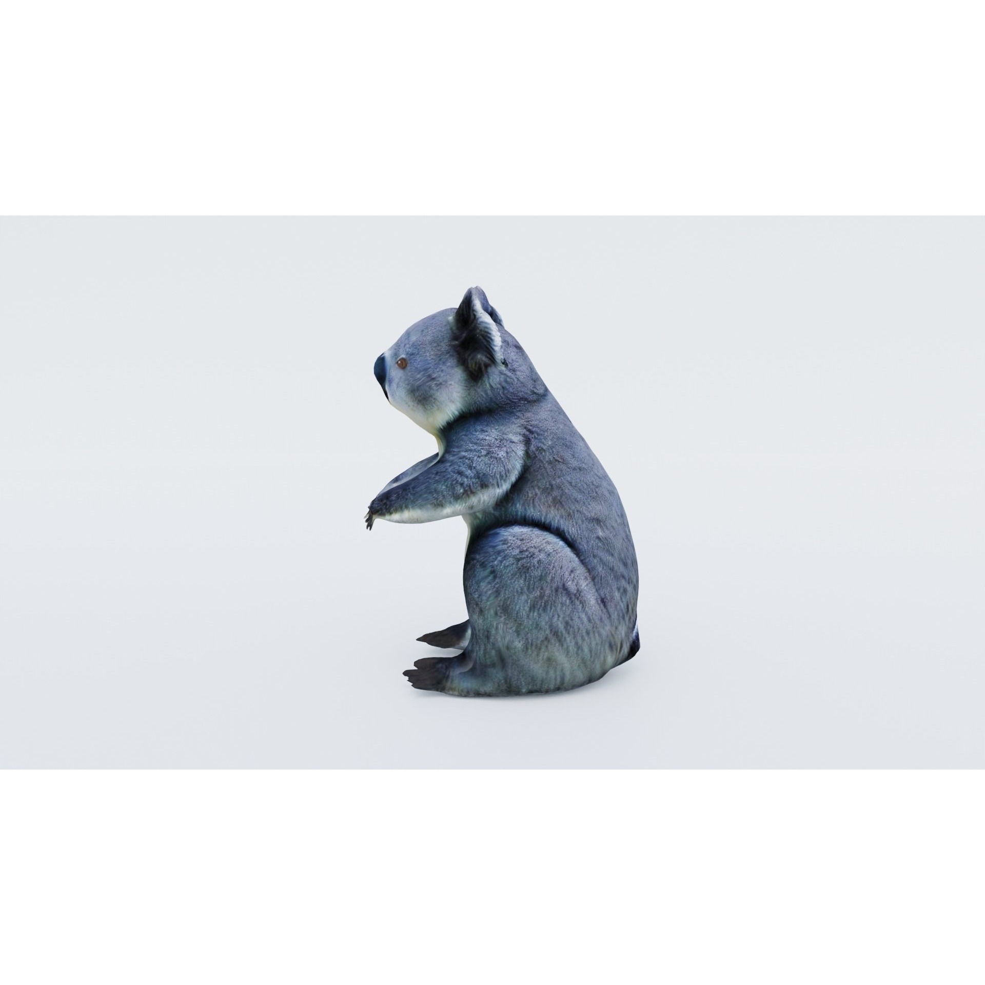 Koala Free 3D model 2