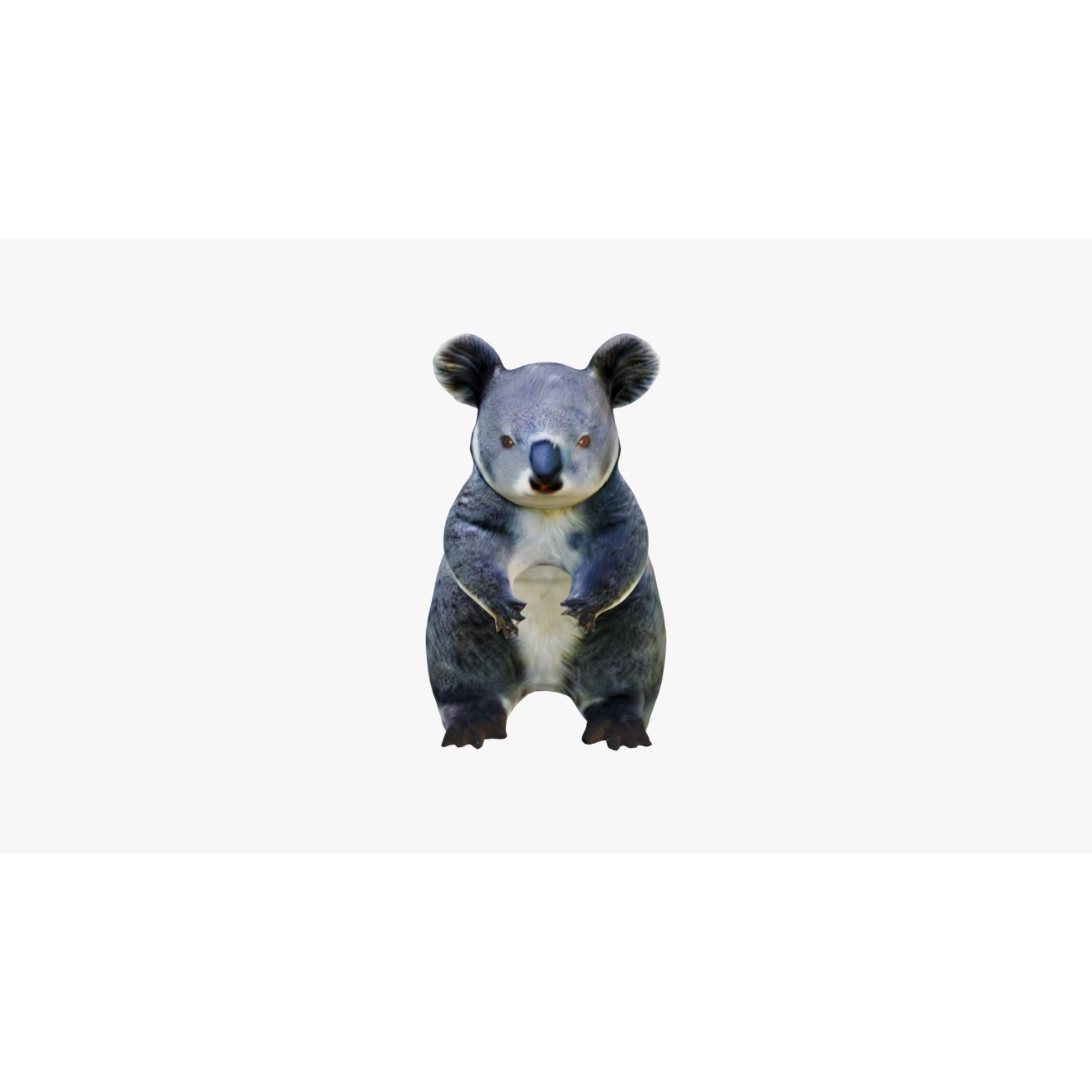 Koala Free 3D model 3