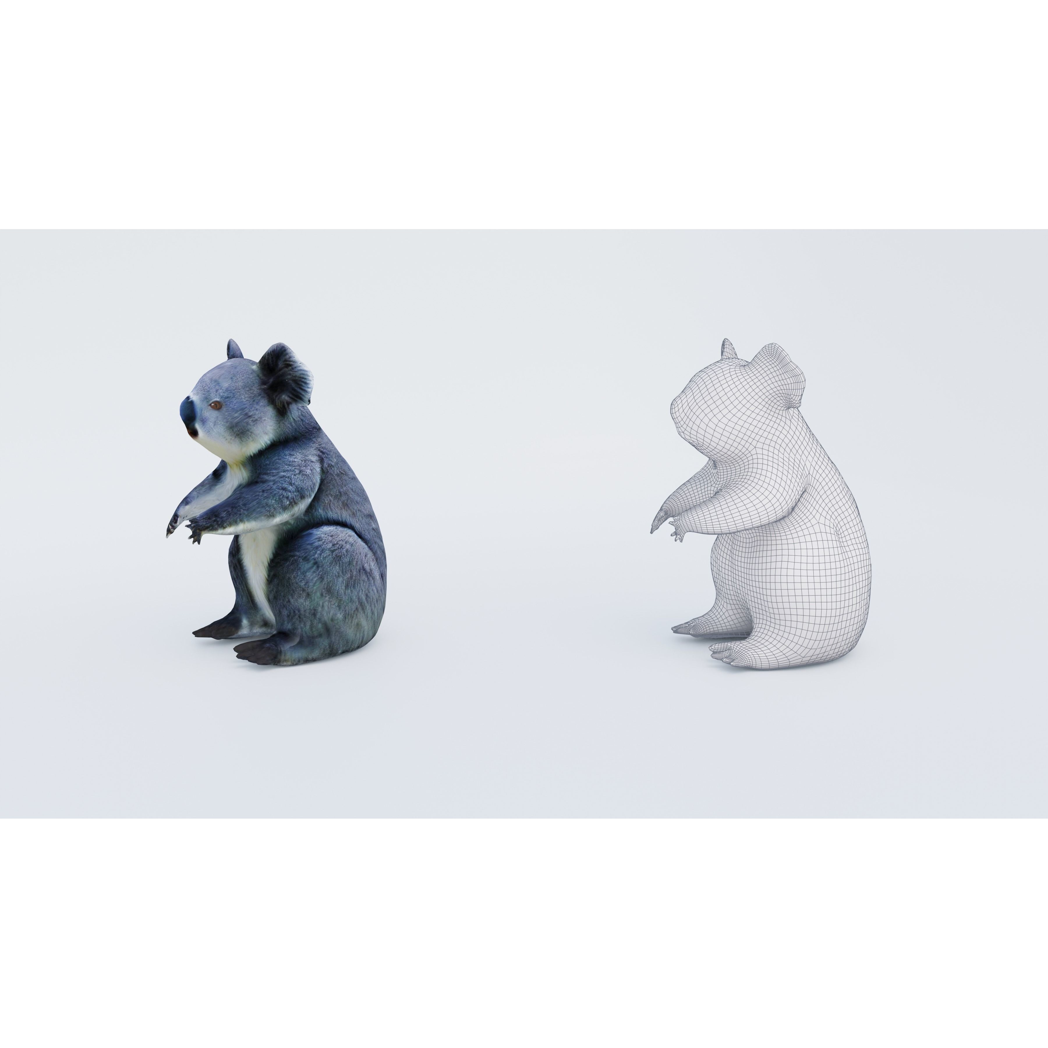 Koala Free 3D model 6