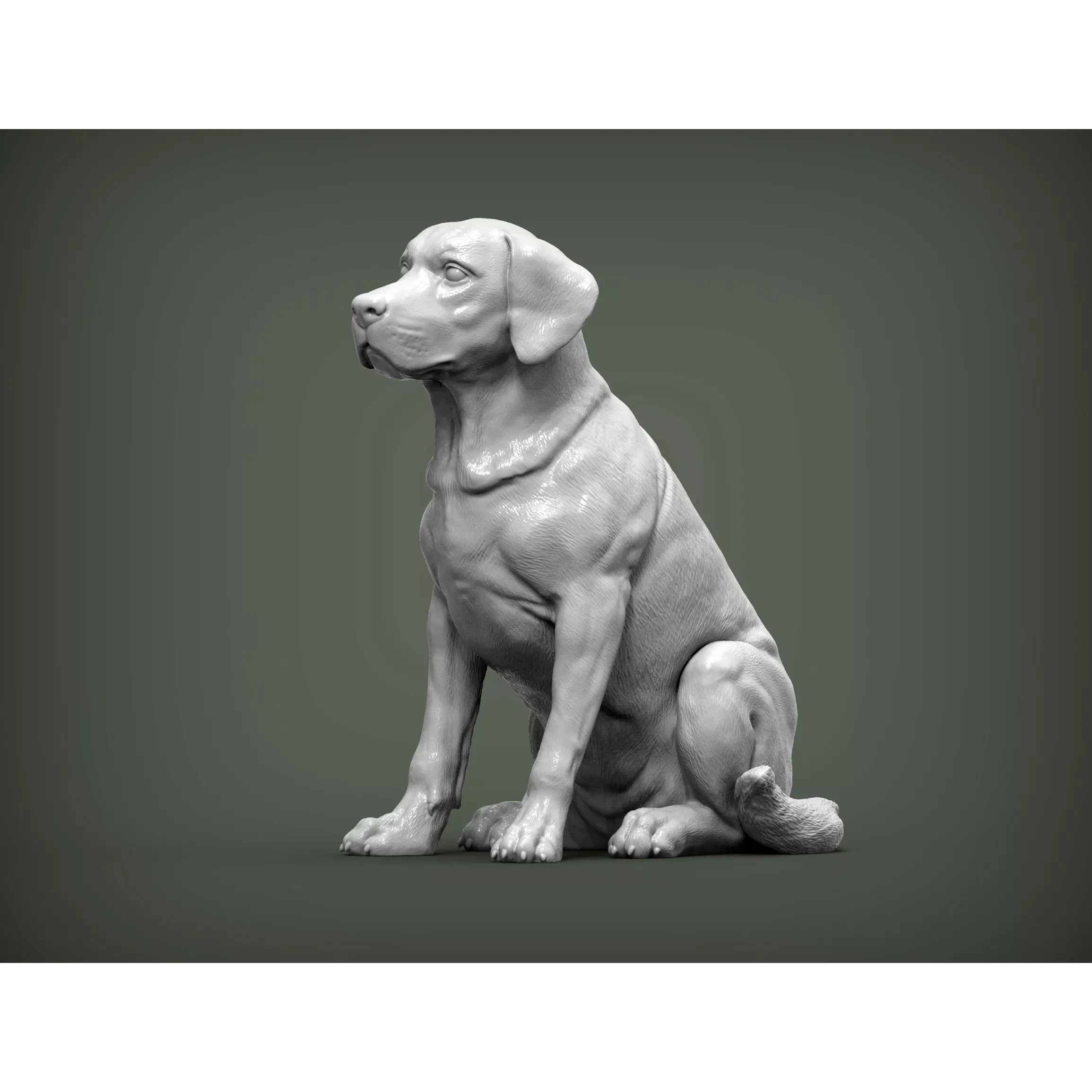 Labrador 3D print model
